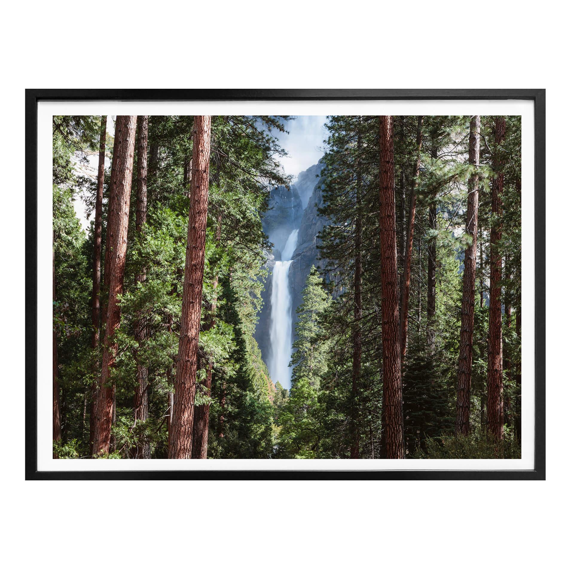 Plakat - Colombo - Waterfall forest