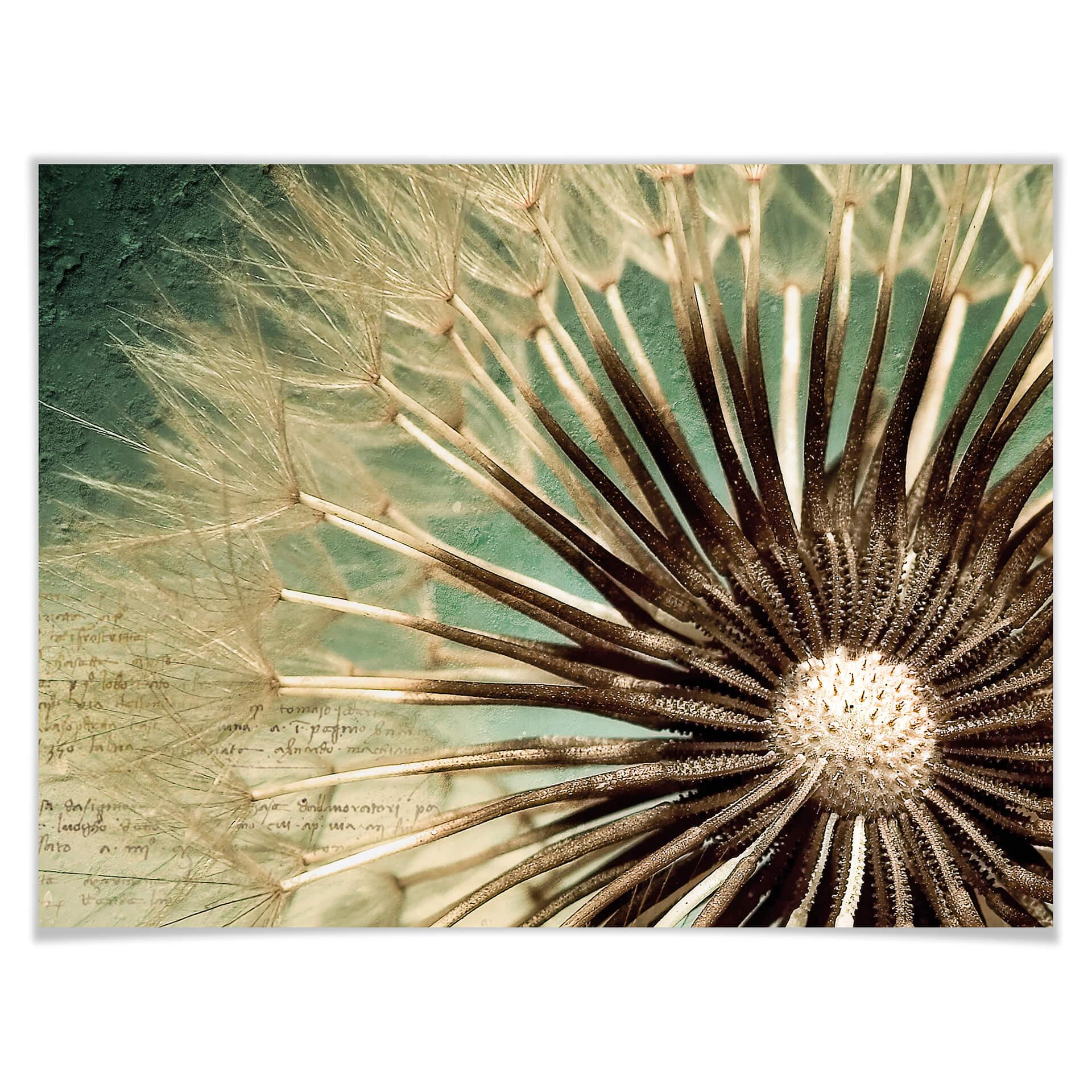 Plakat Dandelion Poetry