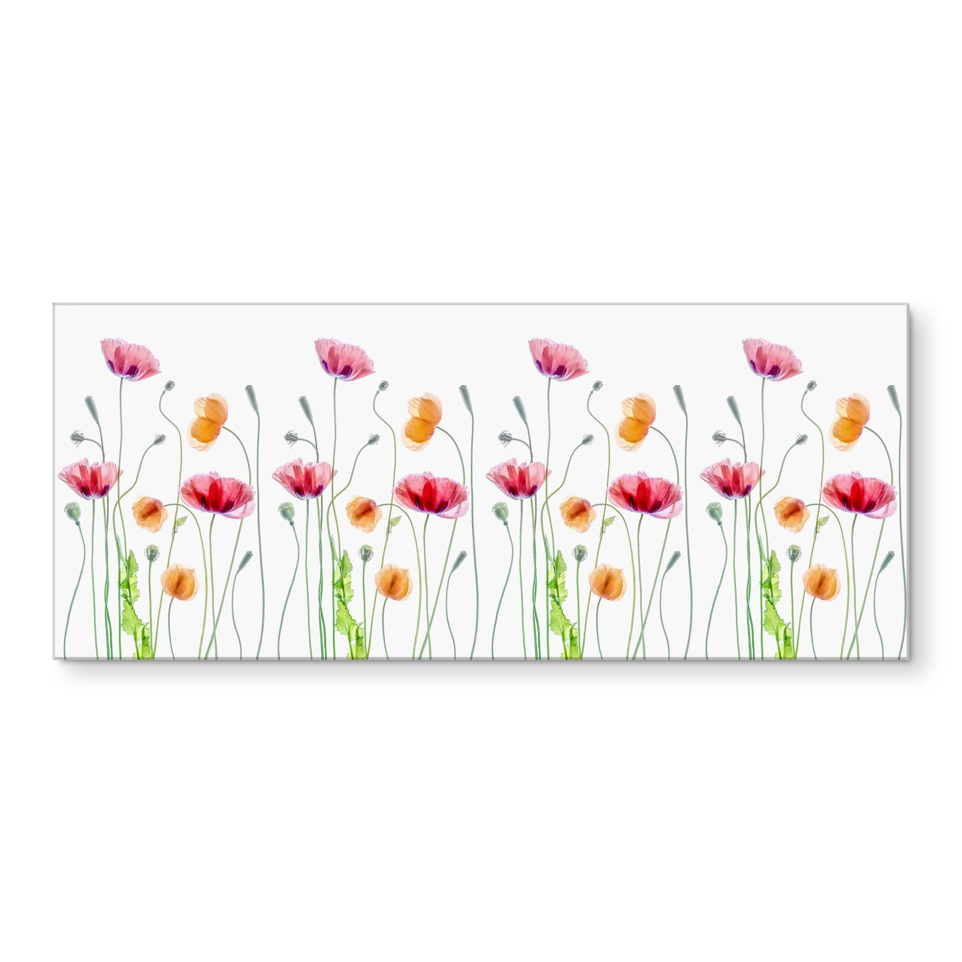 Køkken backsplash Disher - Colourful Poppies