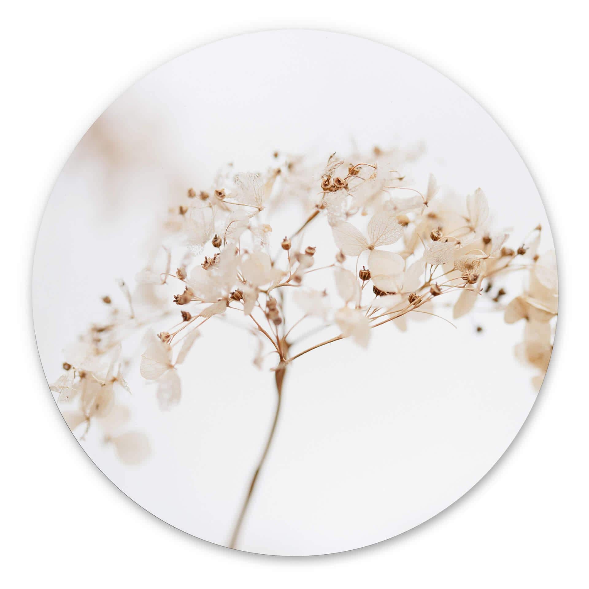 Tableau sur alu-Dibond rond 1X Studio - branche aux fleurs délicates