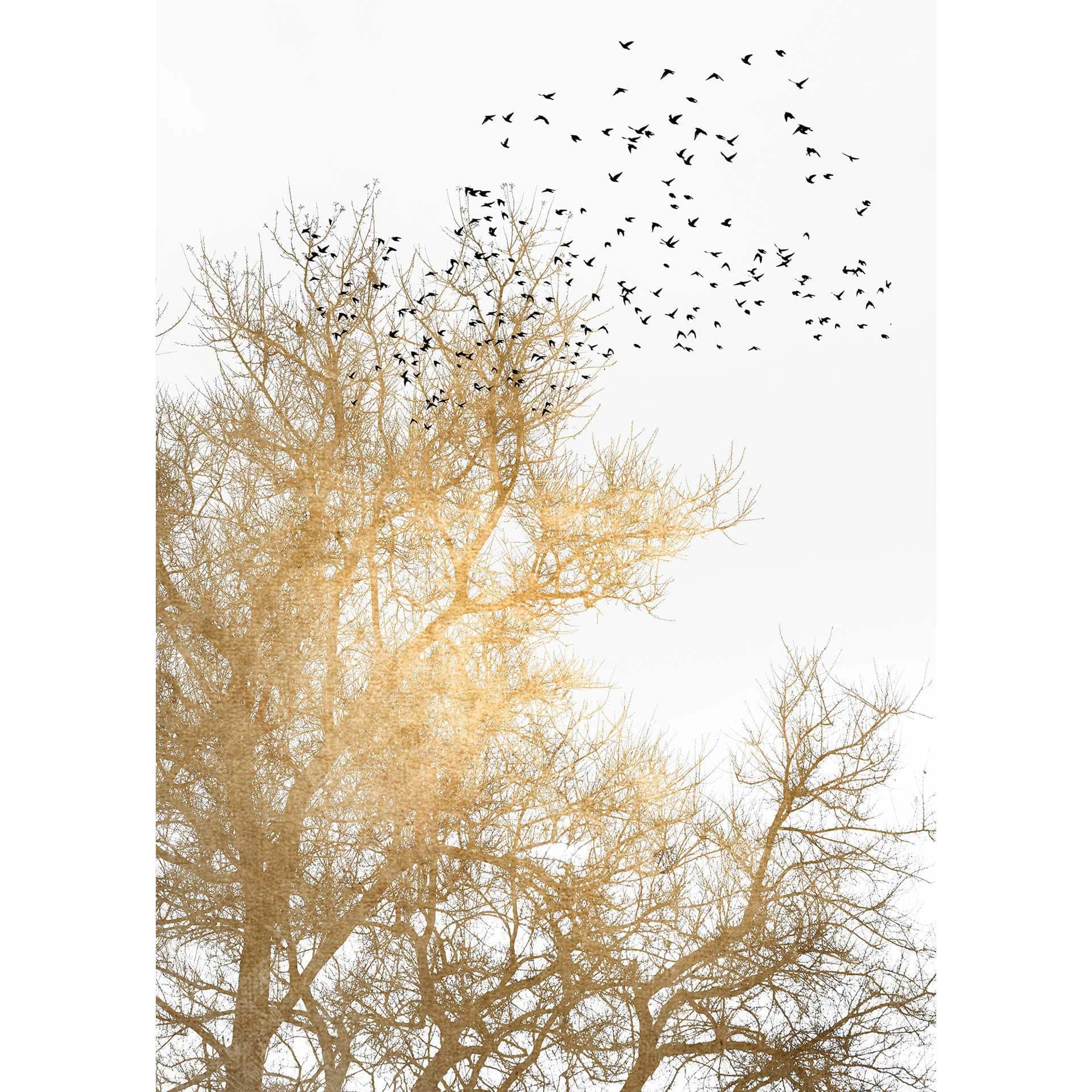 Livingwalls papier peint photo ARTist Golden Skies
