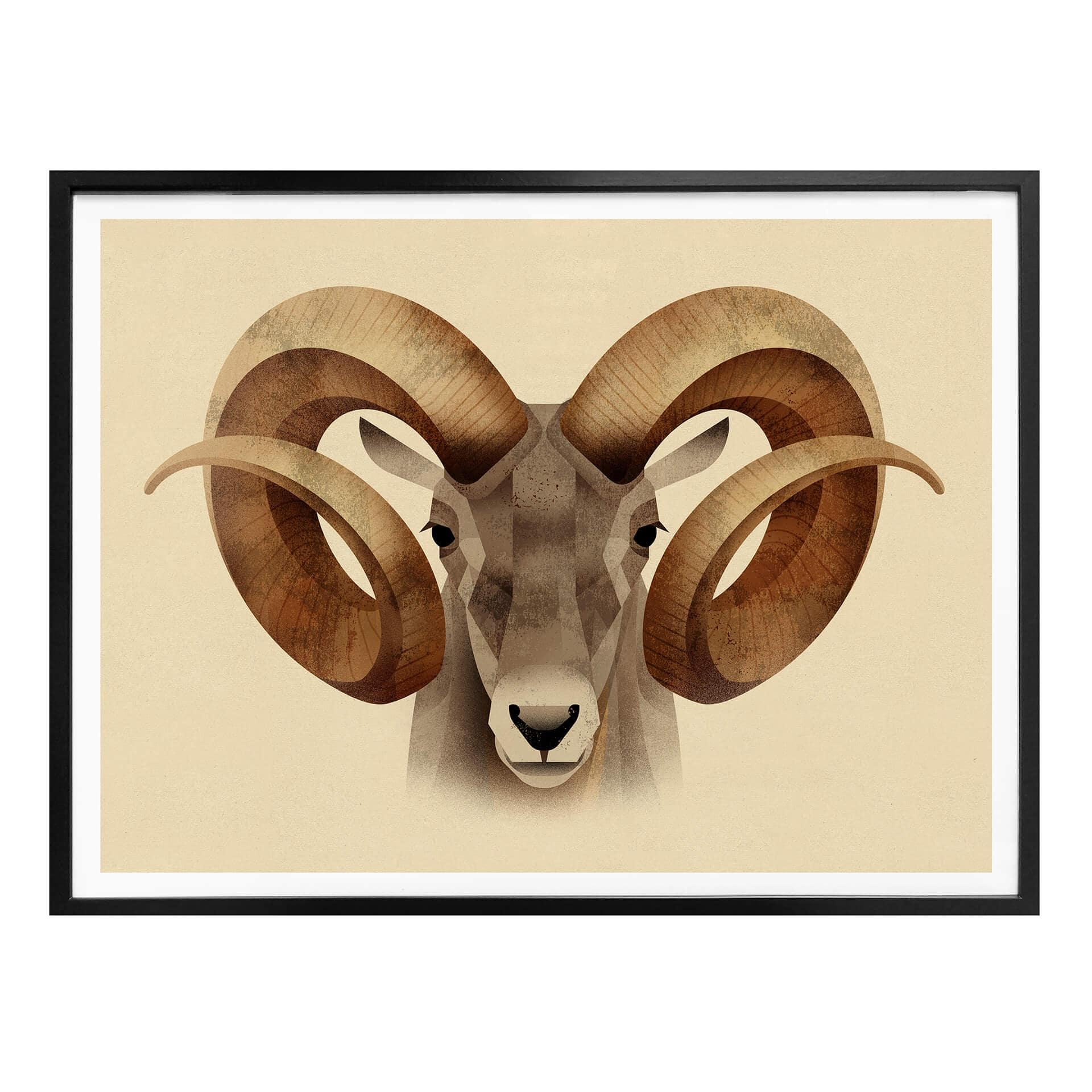 Poster Brun - Urial