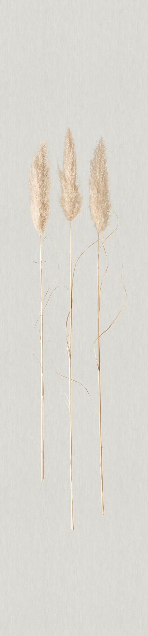 vliesbehang, natural opulence wit grafisch 3.30 x 0.70 cm