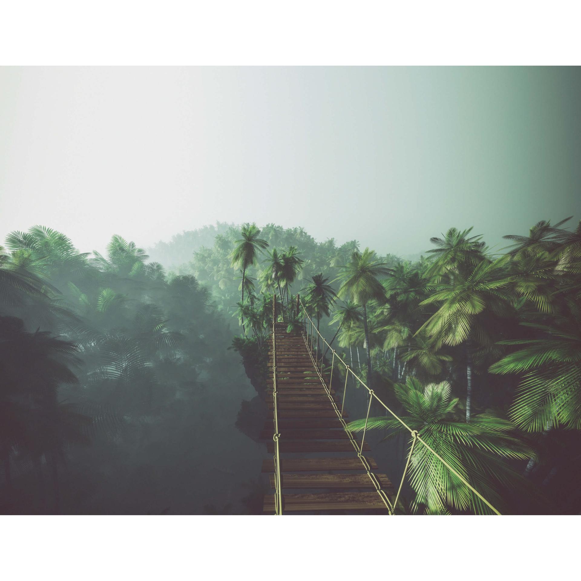 Fotobehang Hangbrug in de jungle