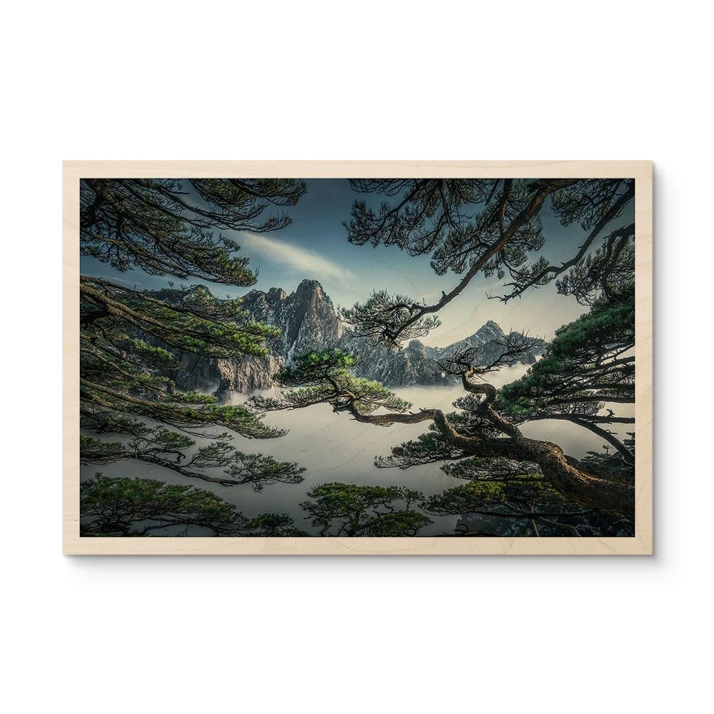 Træbillede af fyrreskov i Huang Shan-bjergene - NingYun Ye