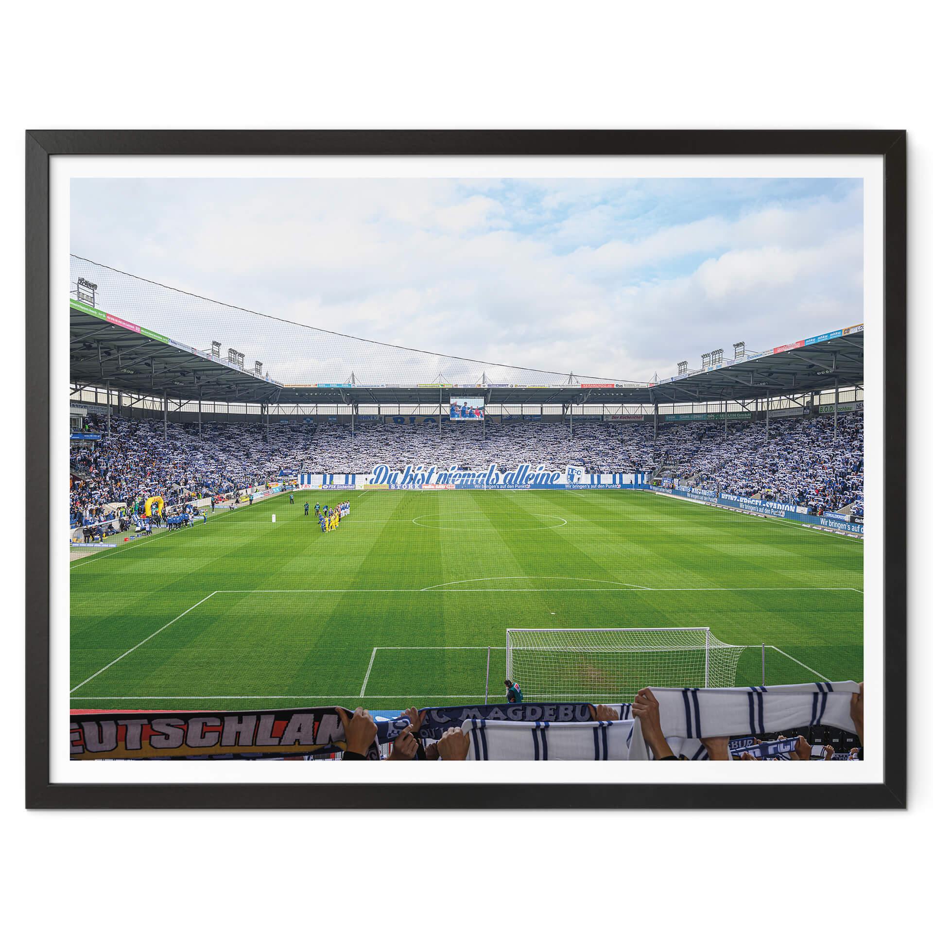 Plakat FC Magdeburg Fans