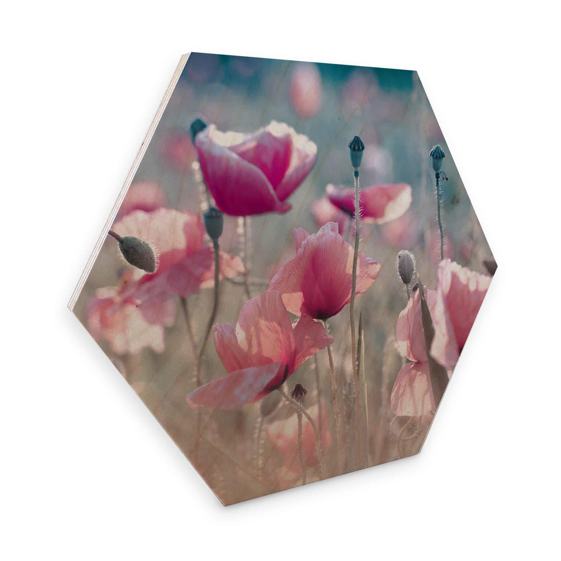 Hexagone - Placage bois de bouleau Delgado - Champ de coquelicots