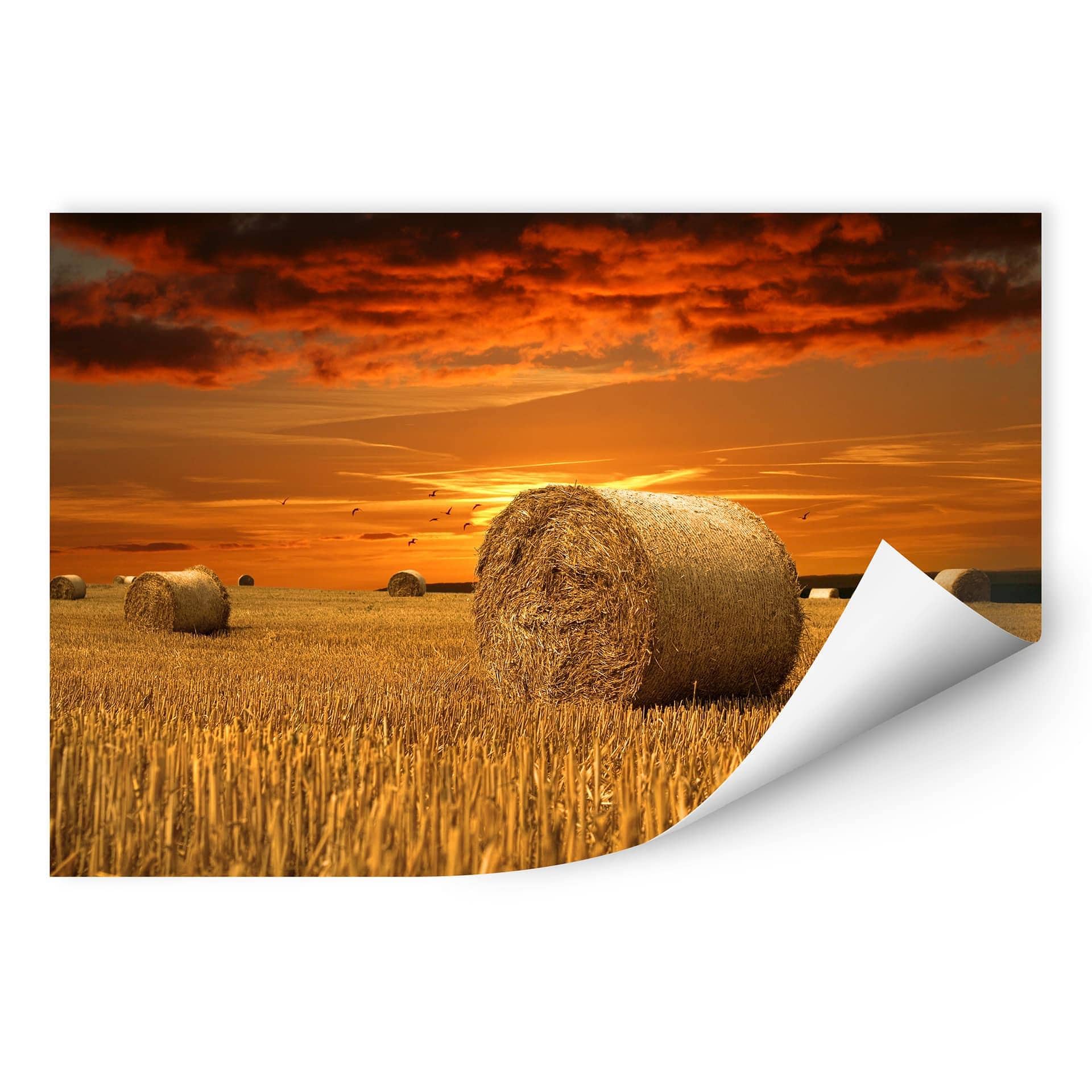 Poster autocollant - W - Bottes de Paille