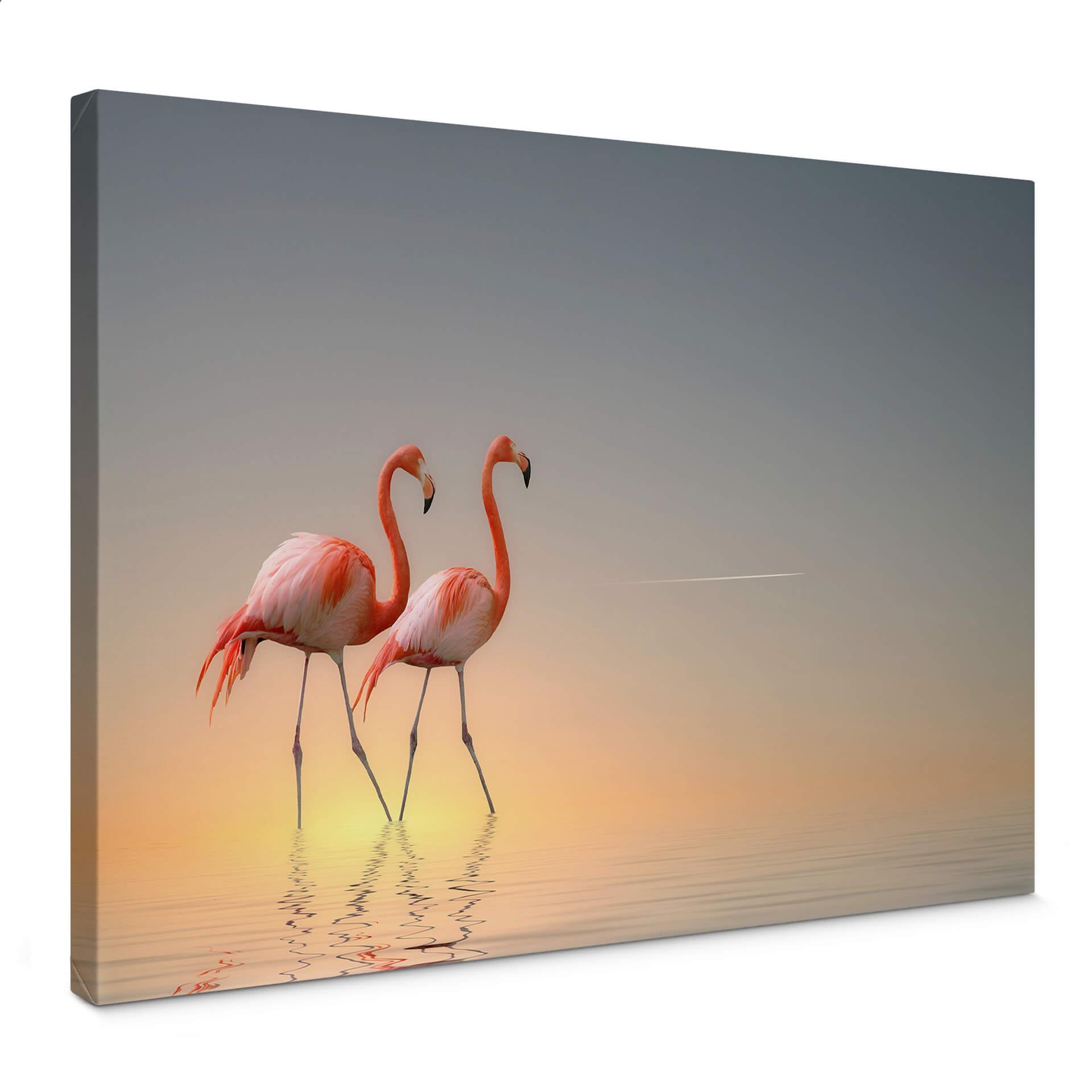 Lienzo Cseresnjes - Flamencos a la luz del atardecer