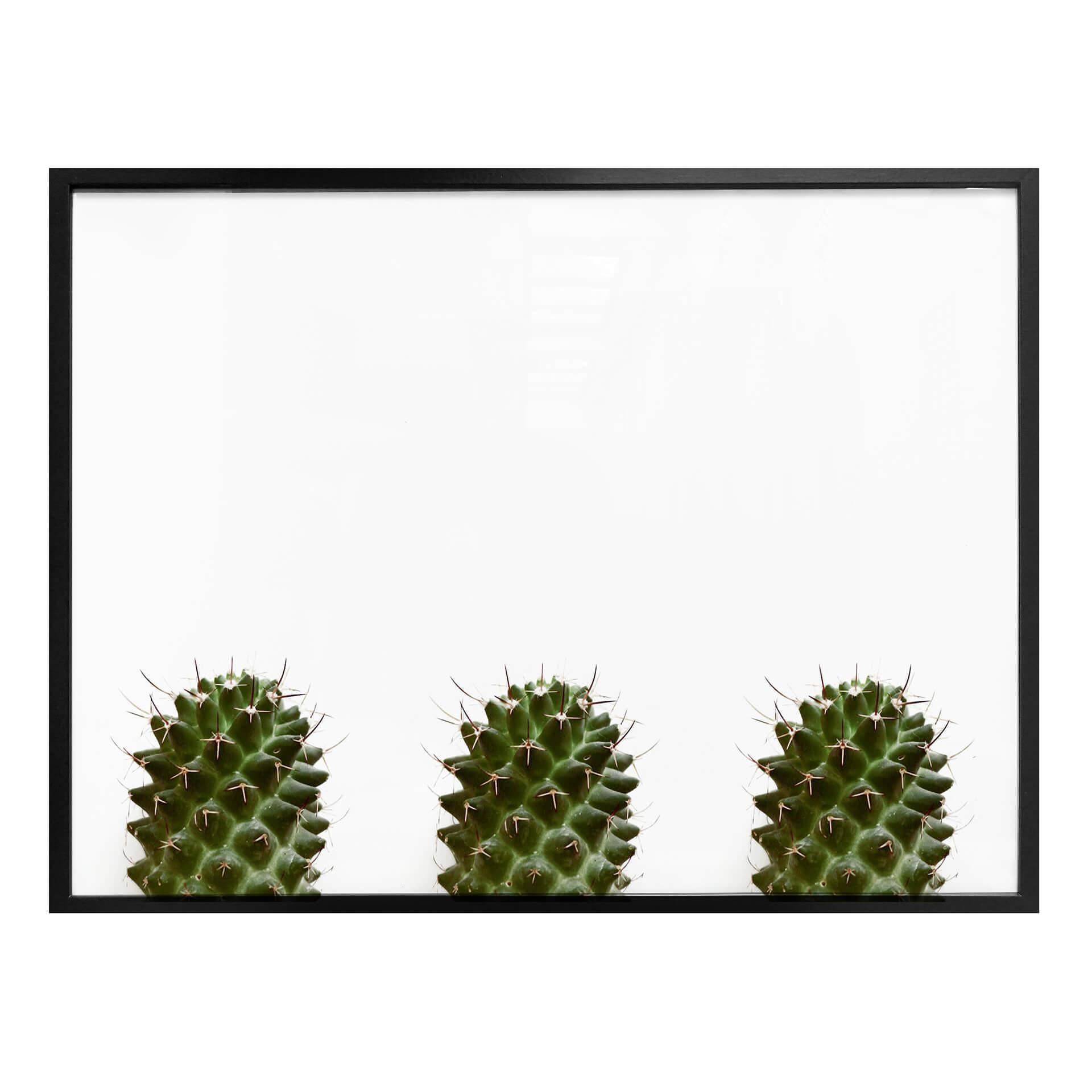 Plakat - Mine små kaktusser