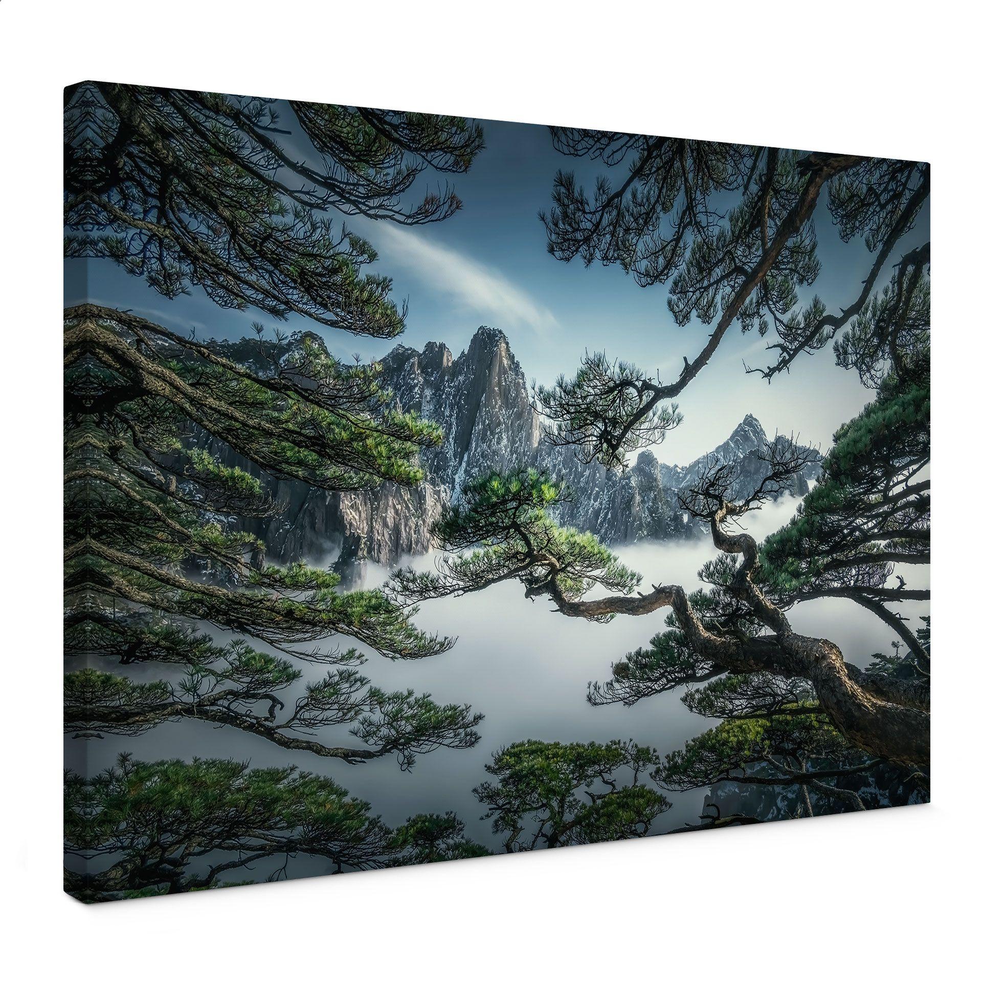 Canvasbillede Fyrreskov i Huang Shan-bjergene - NingYun Ye