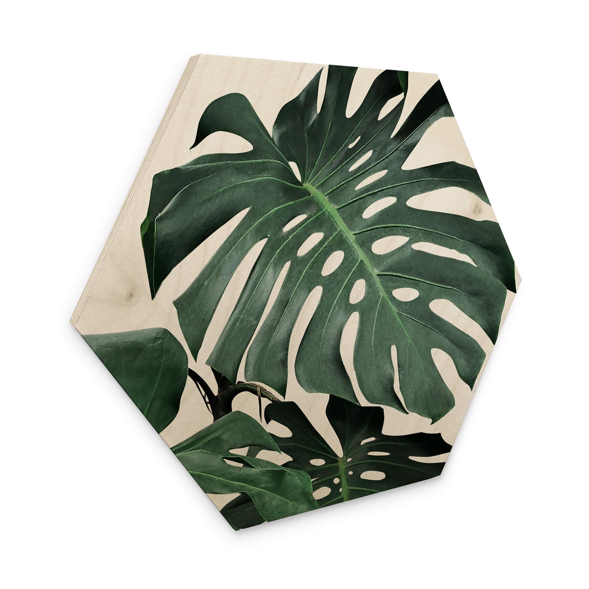 Hexagon Hout Sisi & Seb - Monstera
