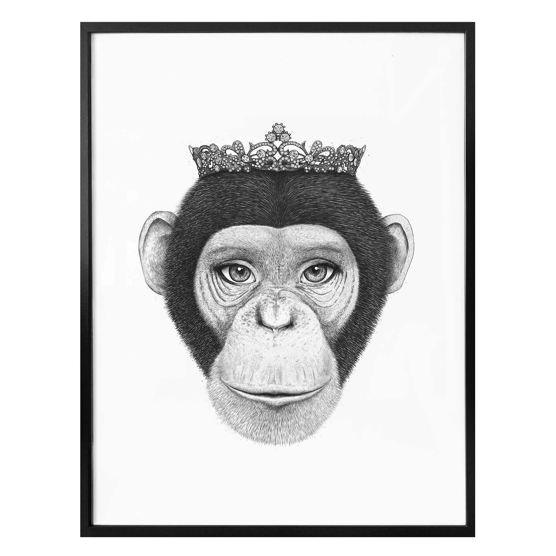 Plakat - Korenkova - The Queen Monkey