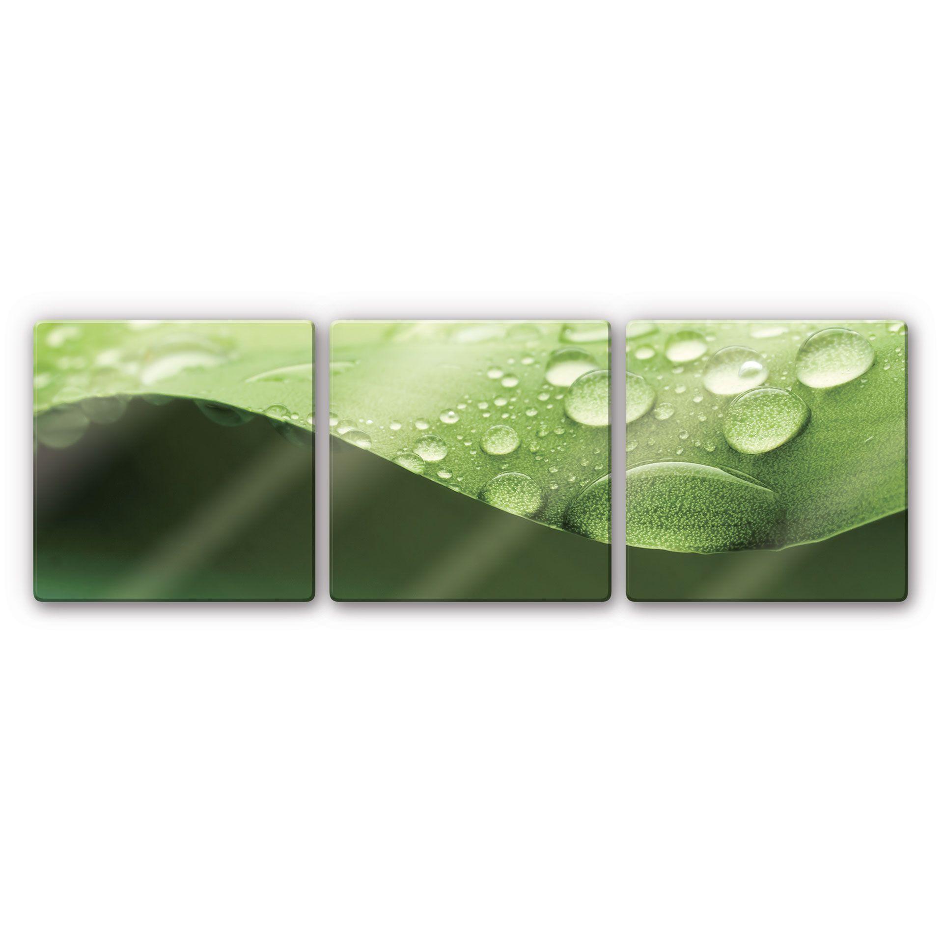 Tableau en verre - Nature 3 (triptyque)