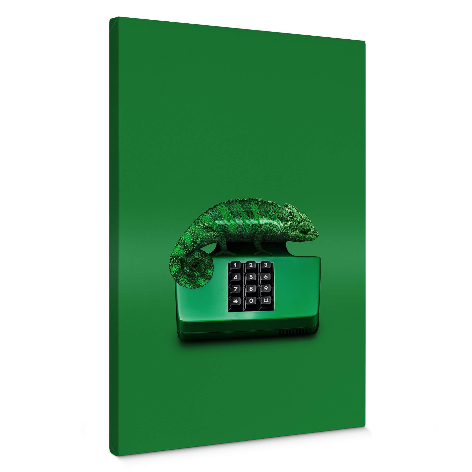 Cuadro en lienzo Suelto - Camalephone
