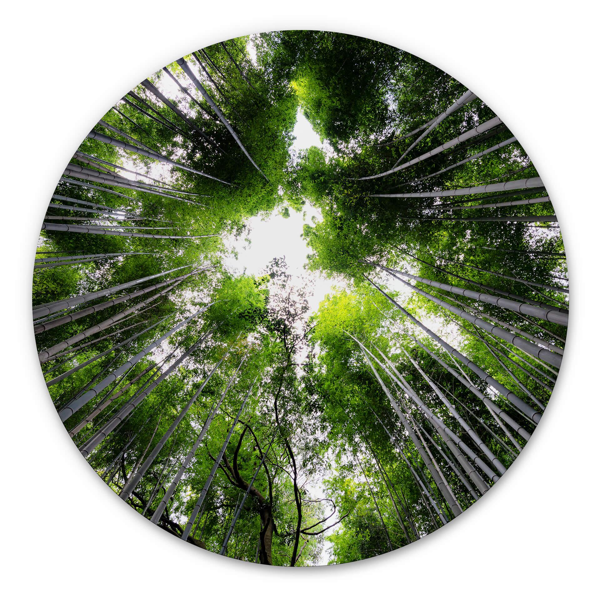 Wandcirkel Japanese Forest