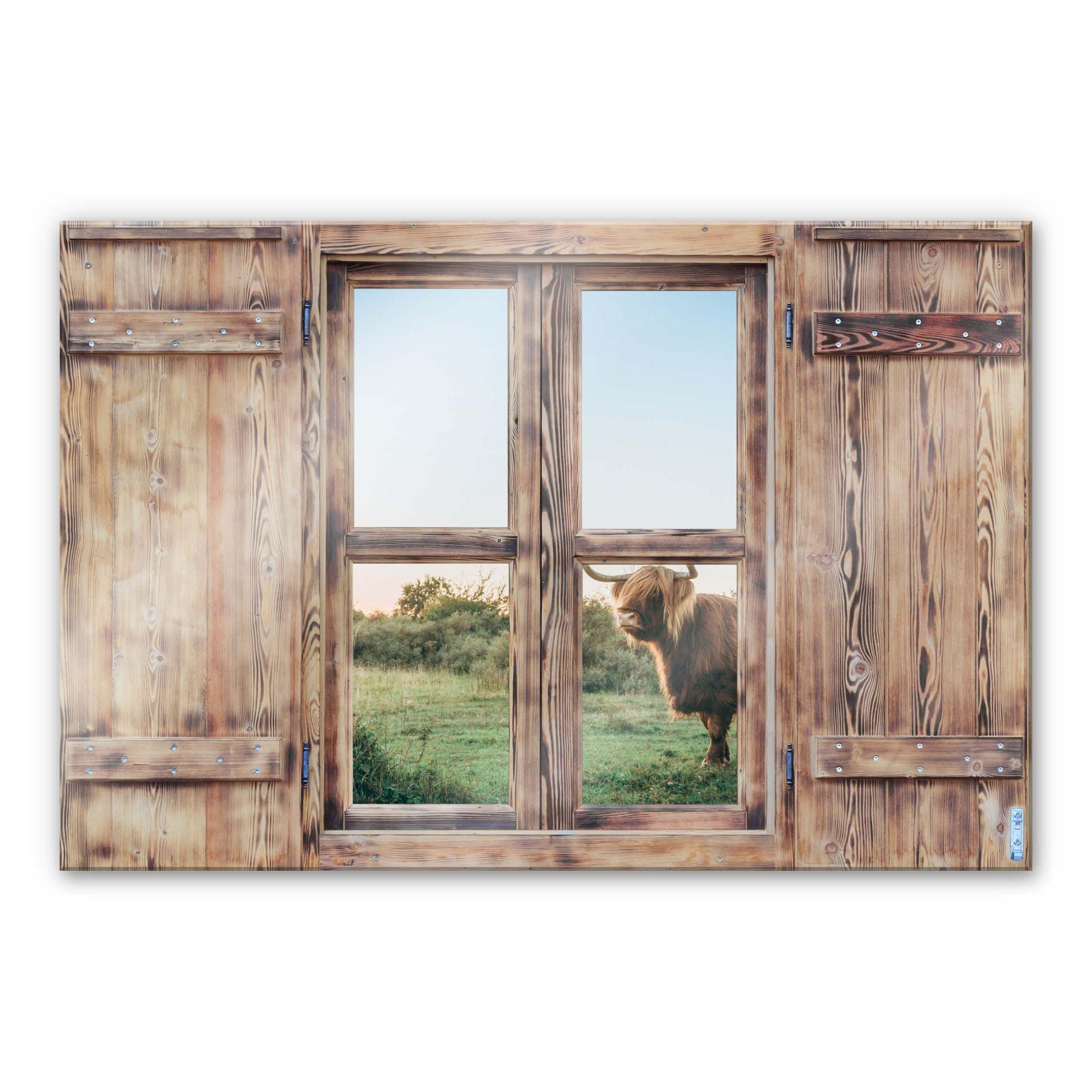 Glasschilderij Trompe L'oeil - Highland Cow 01