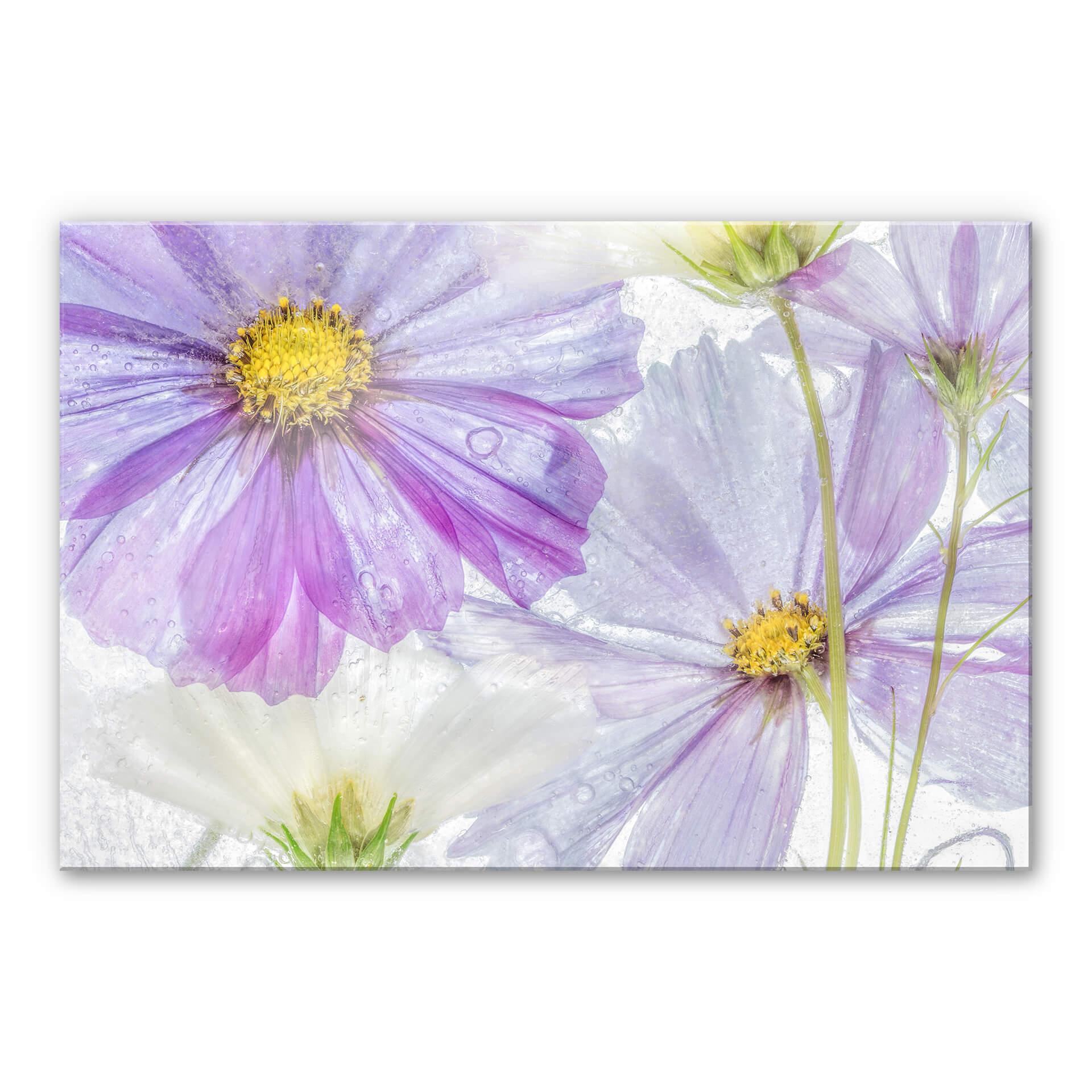 Akrylbillede Disher - Frosne blomster