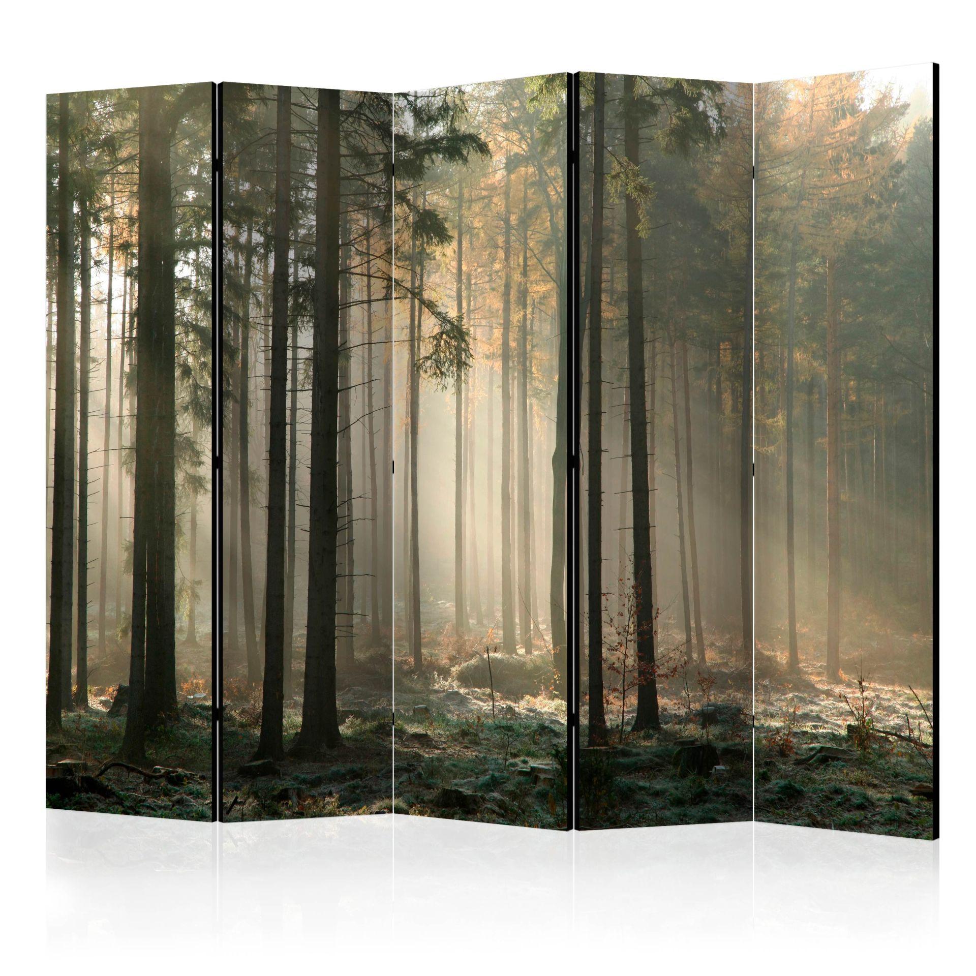 Paravent, Raumteiler freistehend, Trennwand - Foggy November morning II, 5-teilig - einseitig bedruckt - 225x172 cm