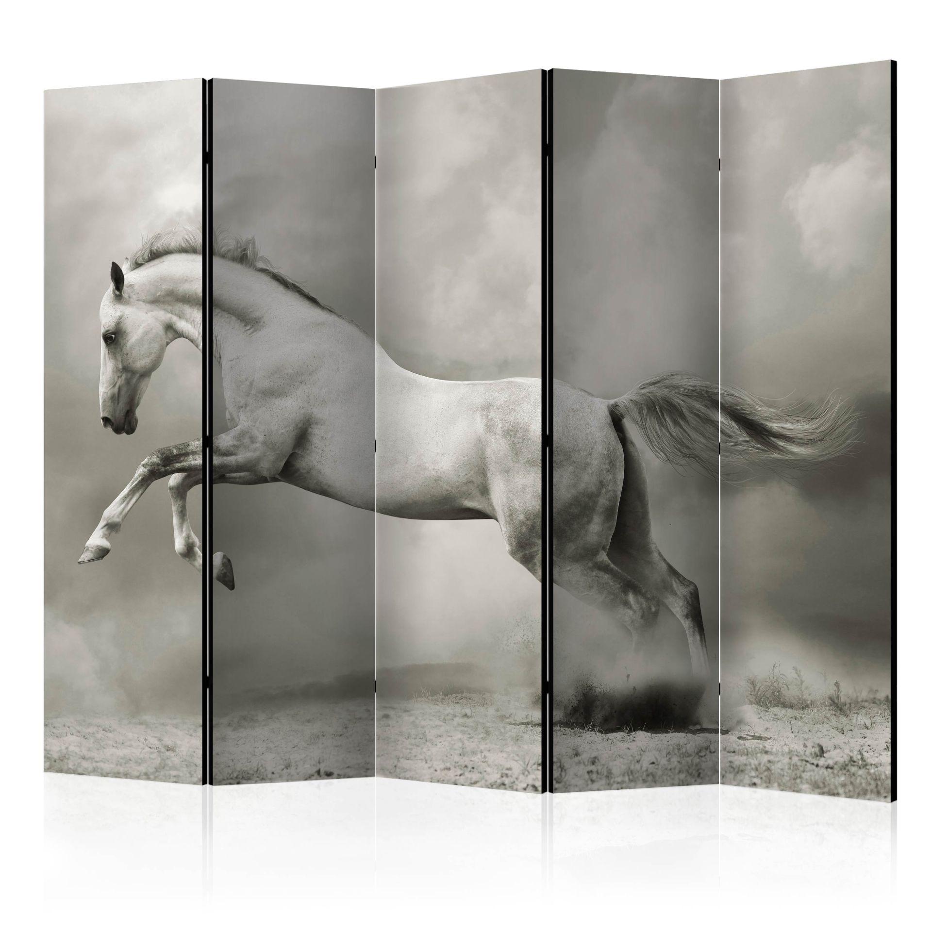 Skærm til rumdeling - Vild hest , 5-delt - 225x172 cm