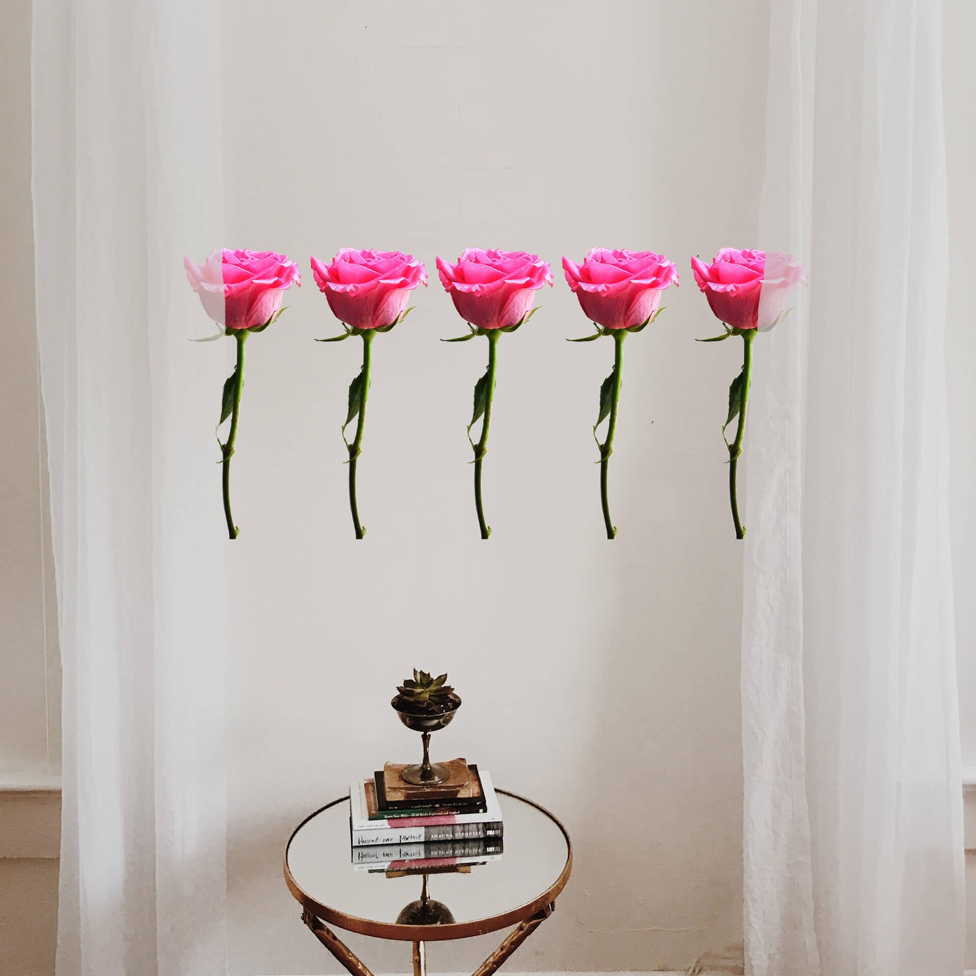 Sticker mural - Bordure Roses