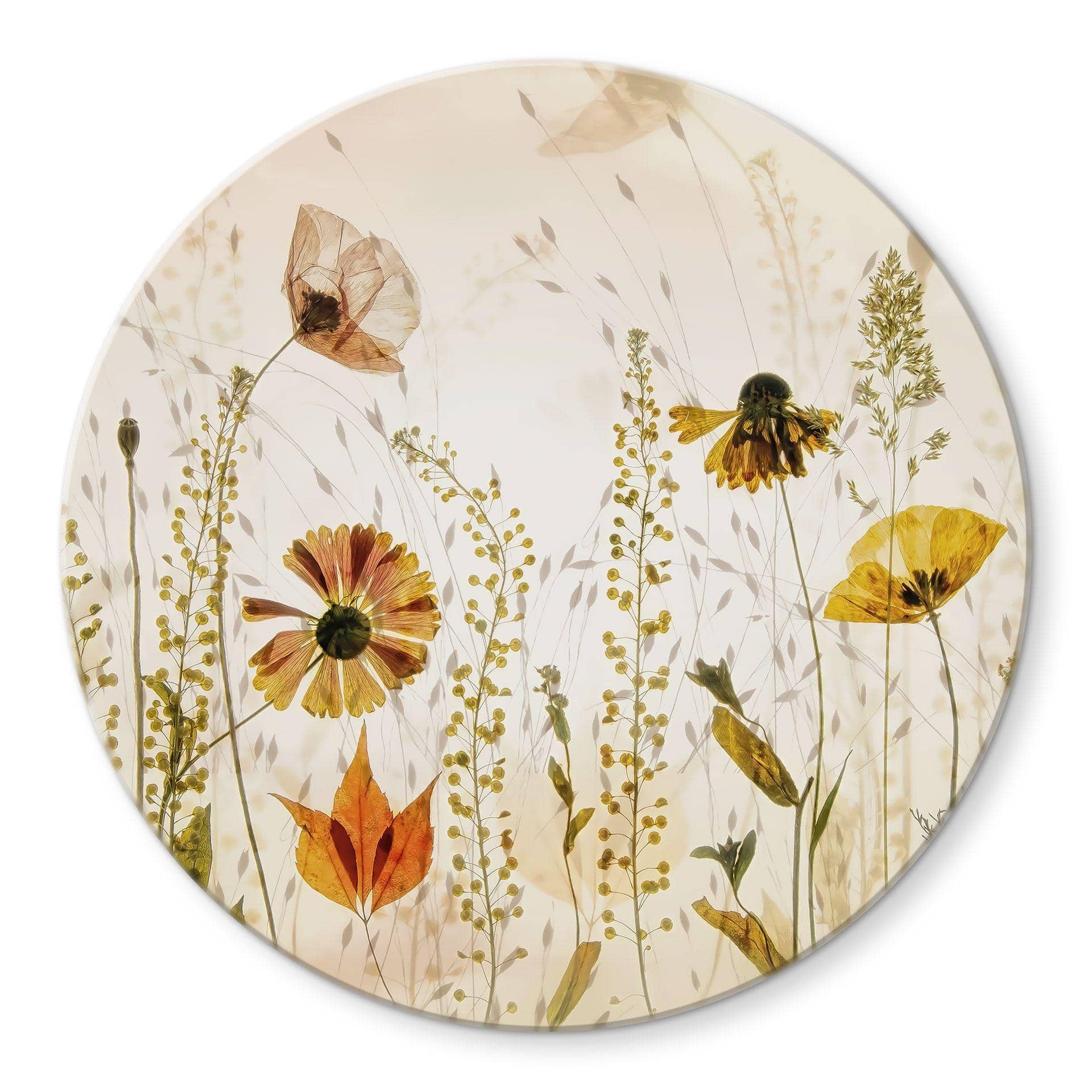 Glasbillede - Vilde engblomster i sollys - Talen - Rund