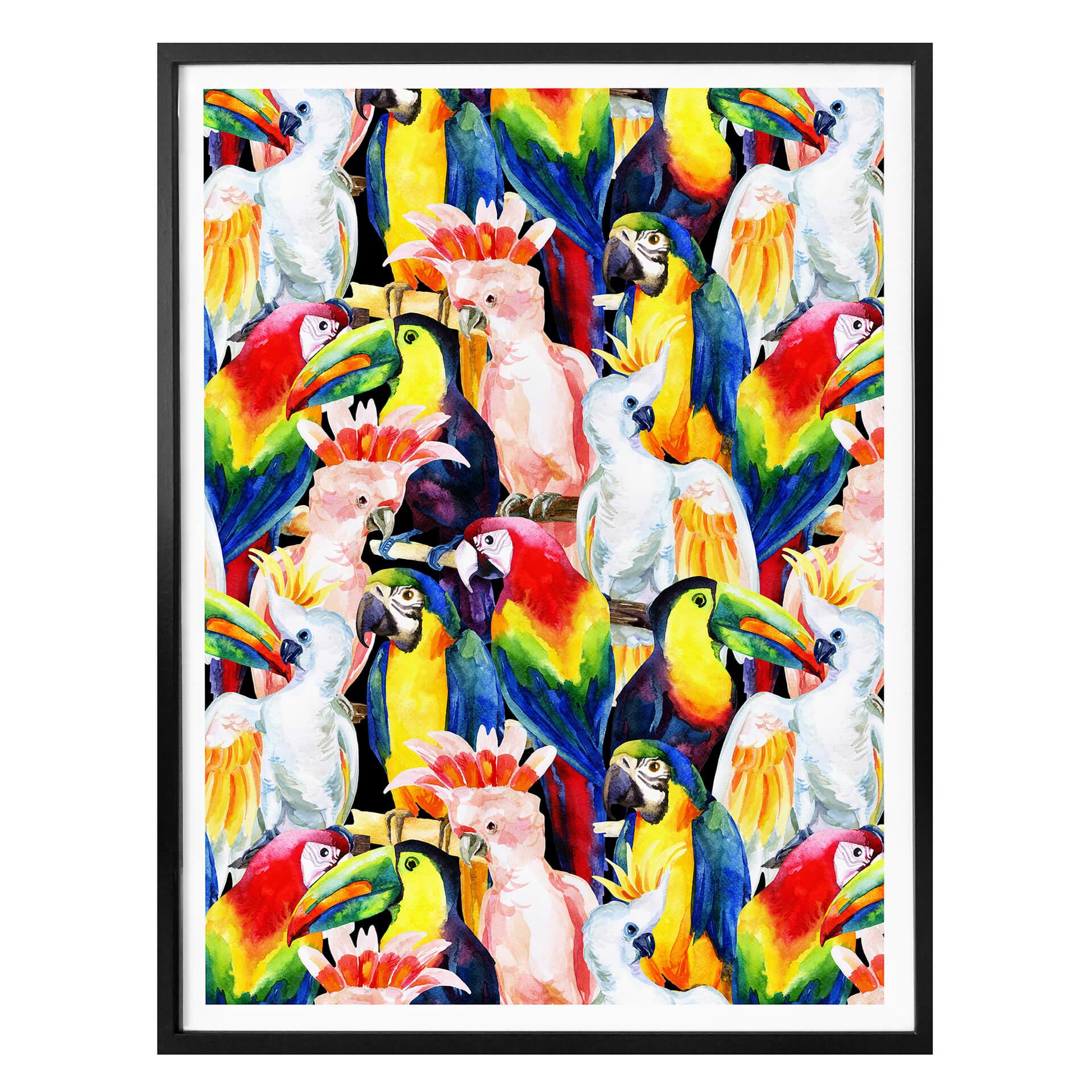 Poster Oiseaux tropicaux