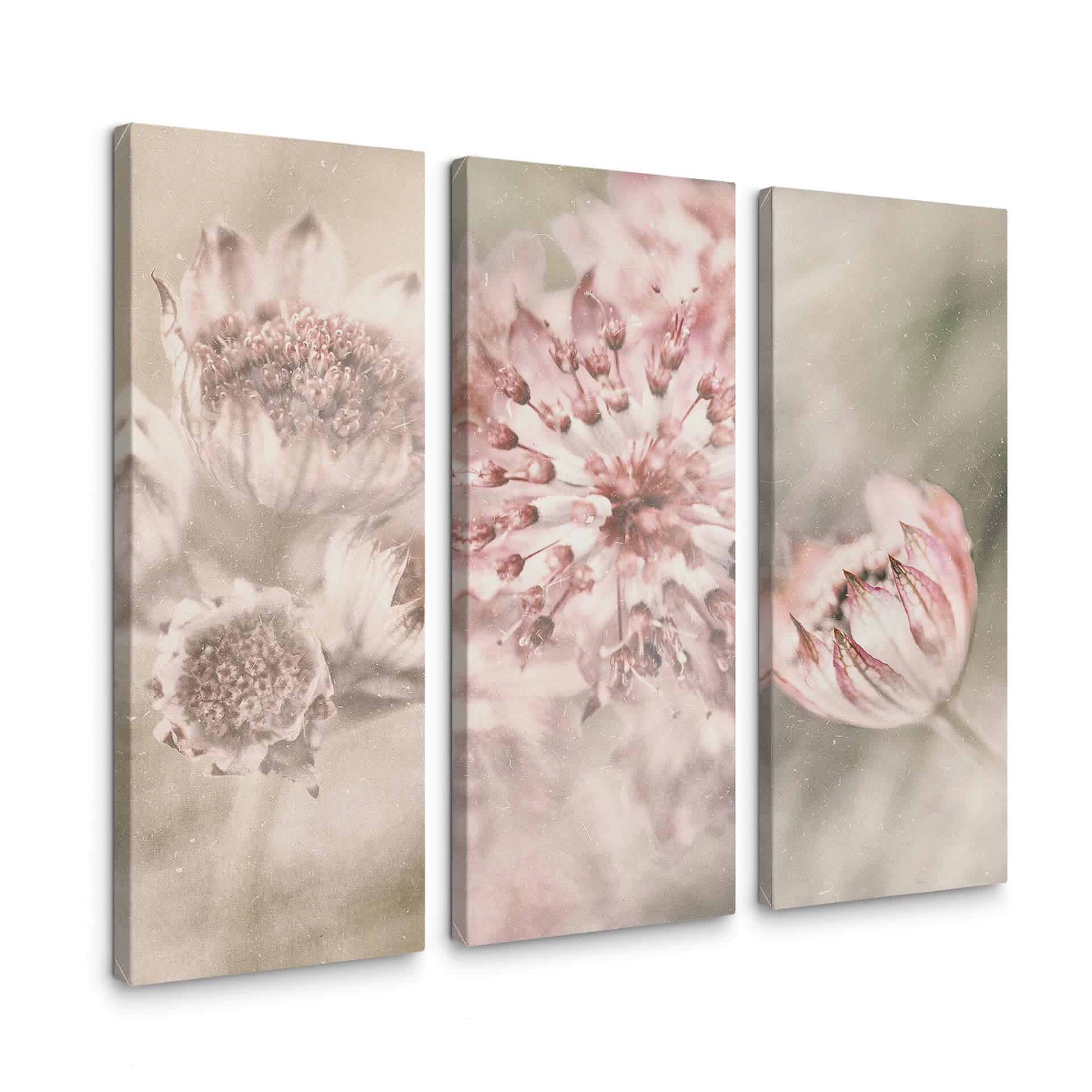 Canvasbillede - Davidsson - White Flowers (sæt med 3)