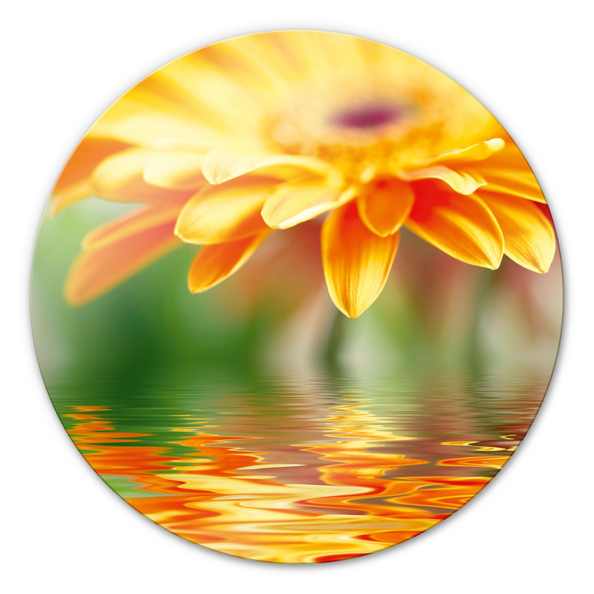Tableau en verre - Reflet de Gerbera- rond