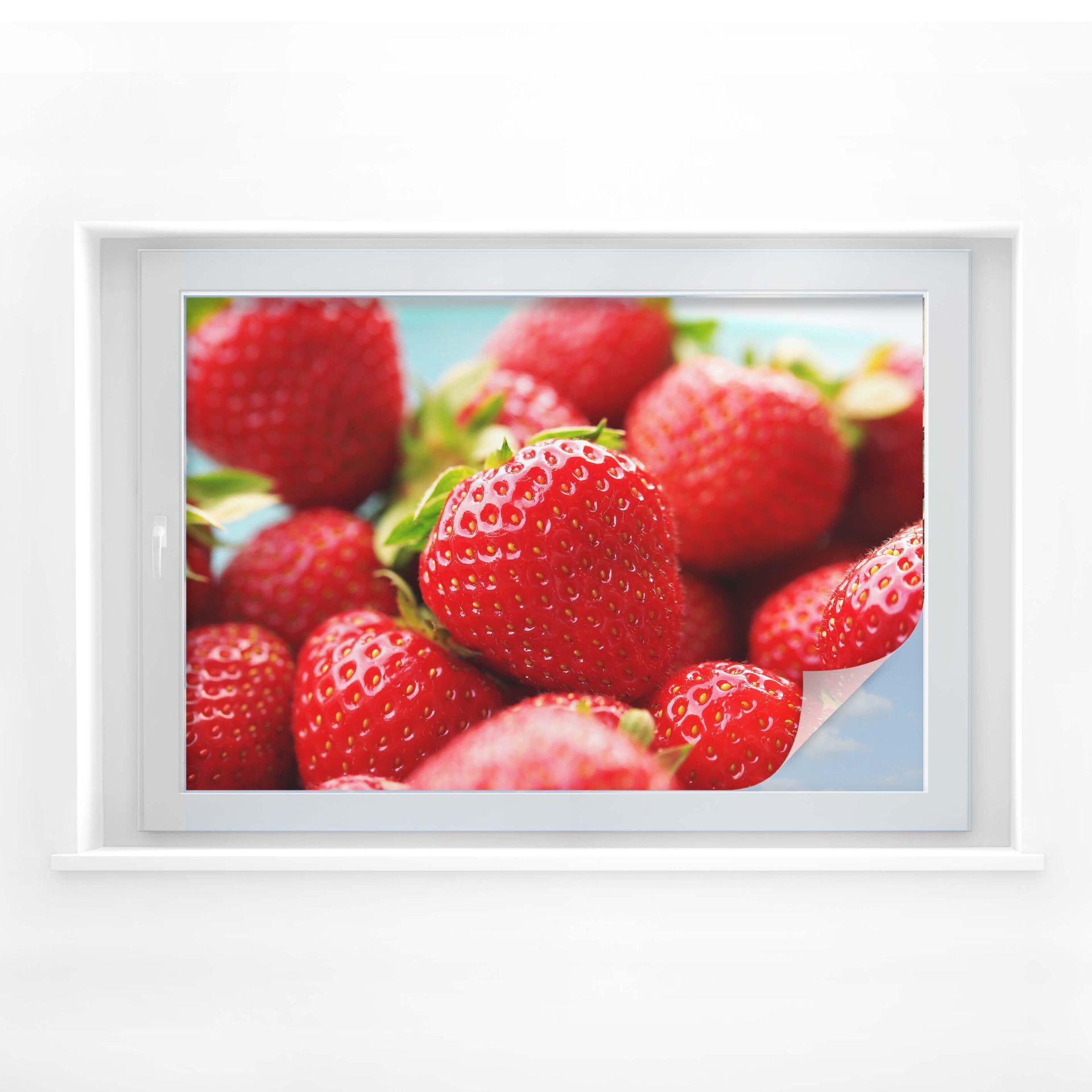 Fresas del huerto de película de privacidad