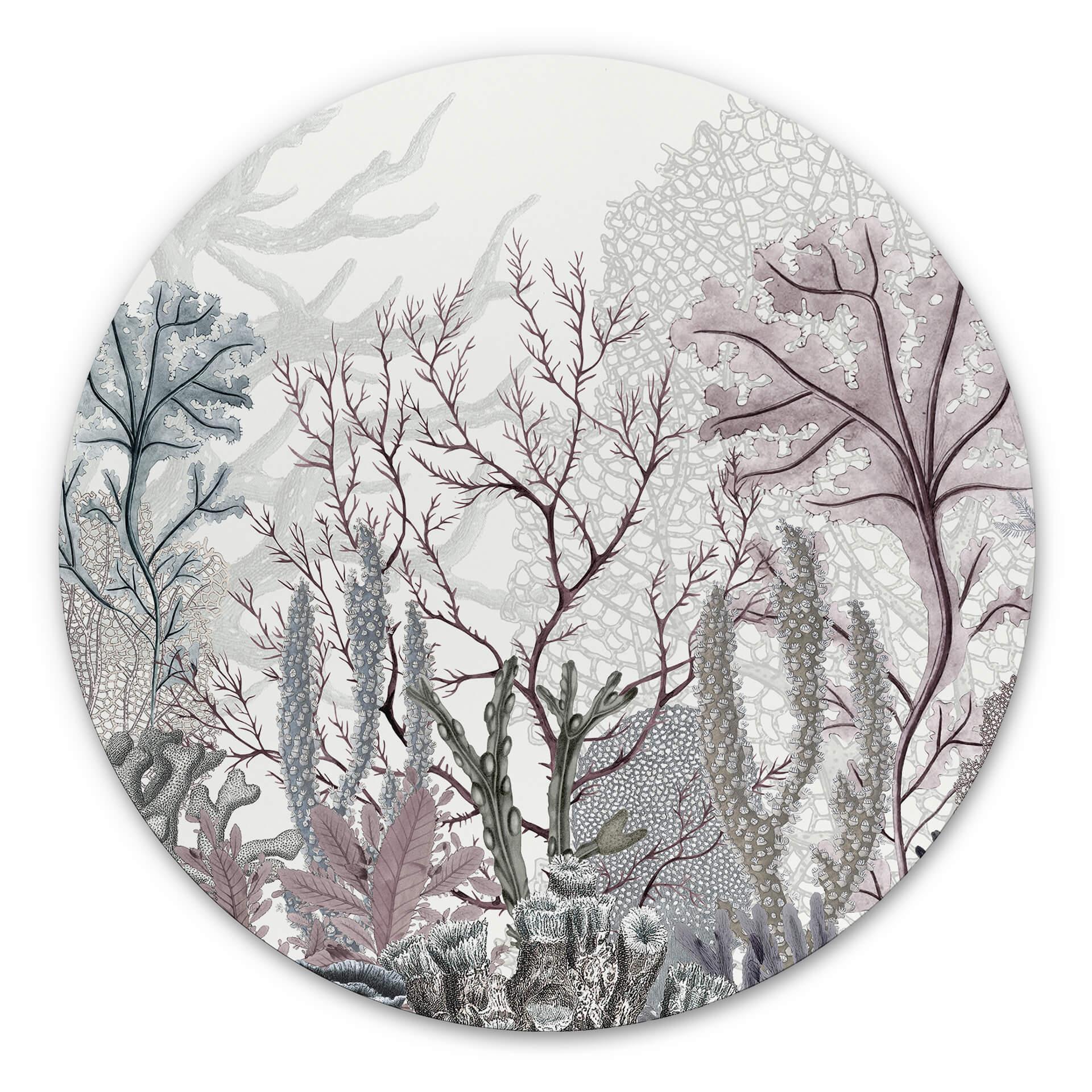 Tableau sur alu-Dibond rond Sir Edward - Merveilles de la mer