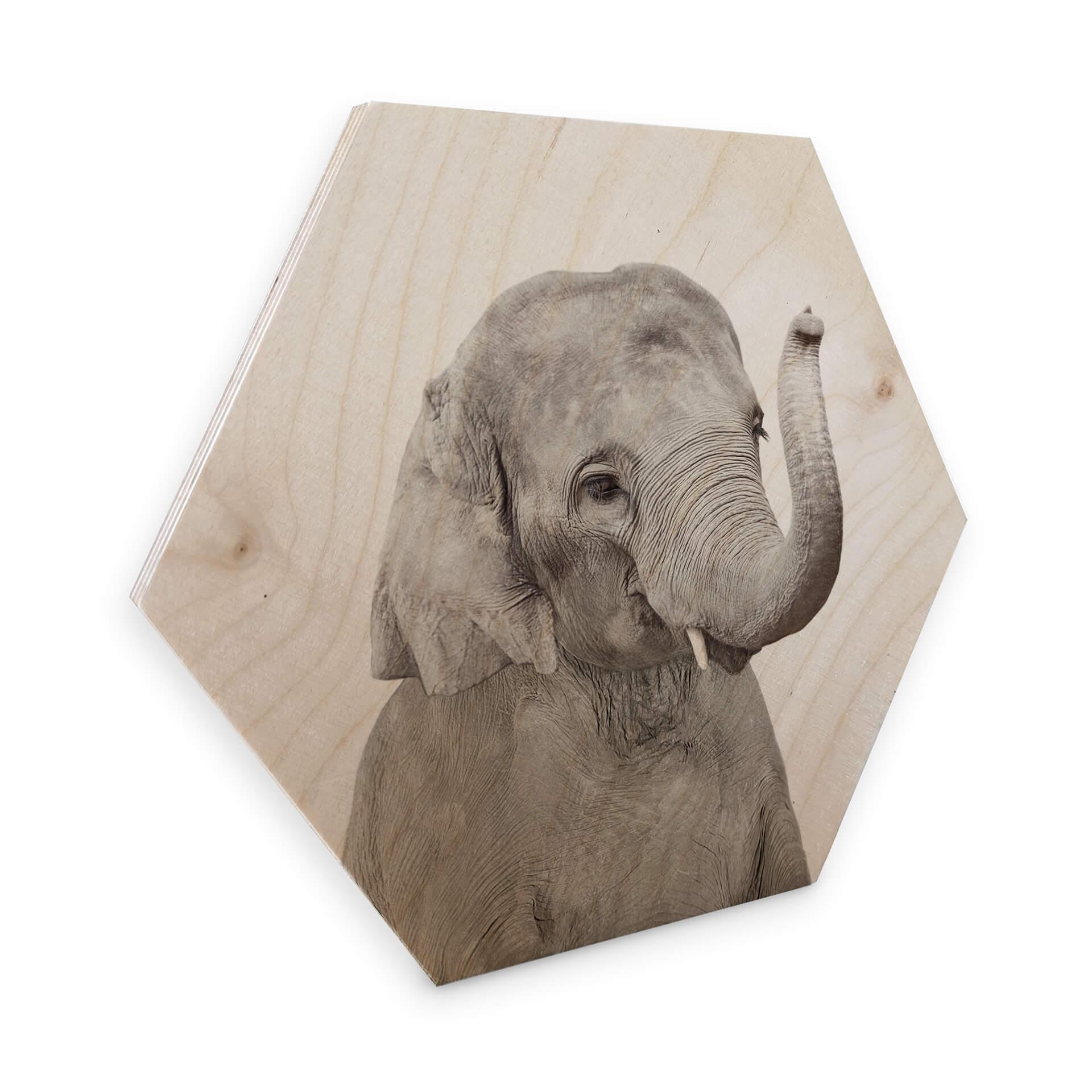 Hexagon Hout Sisi & Seb - Baby Elephant