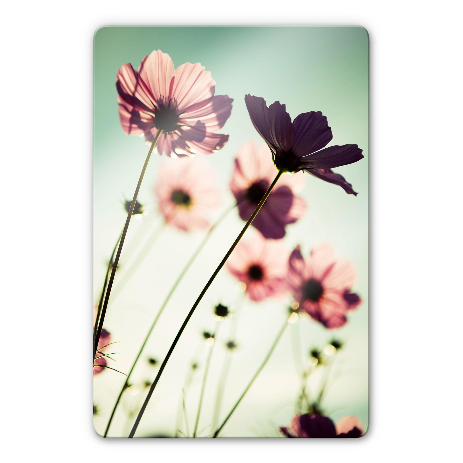 Tableau en verre - Cosmos rose clair