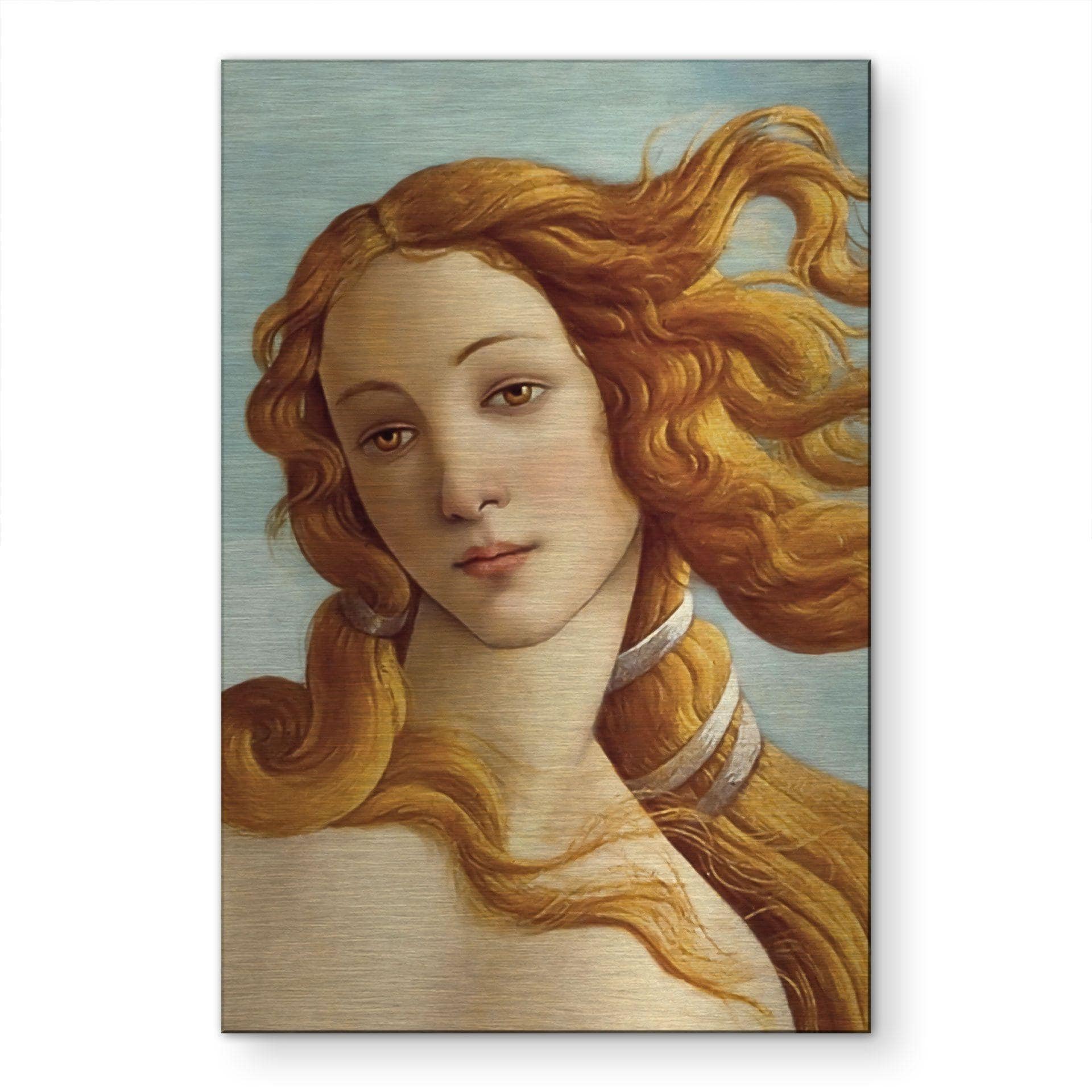 Alu-Dibond spazzolato con Effetto Oro, Argento e Rame - Nascita di Venere - Botticelli