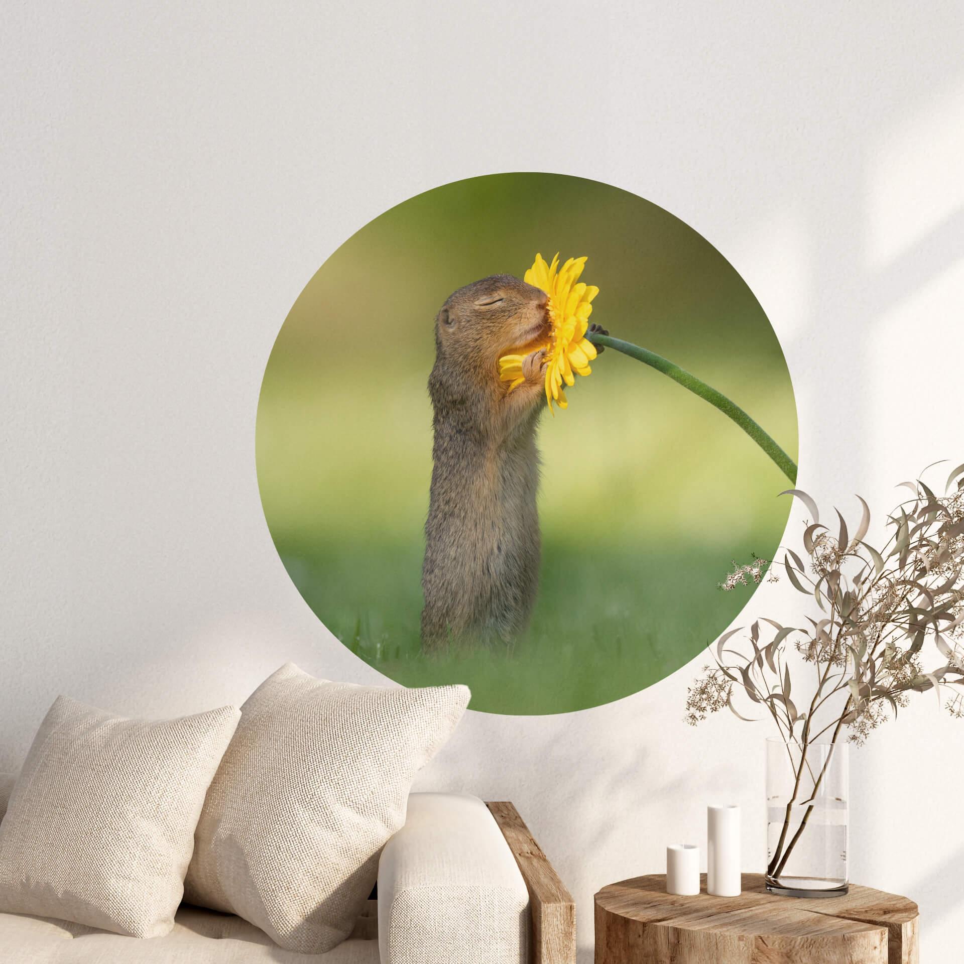 Muursticker Rond Dick van Duijn - Eekhoorn met Bloem