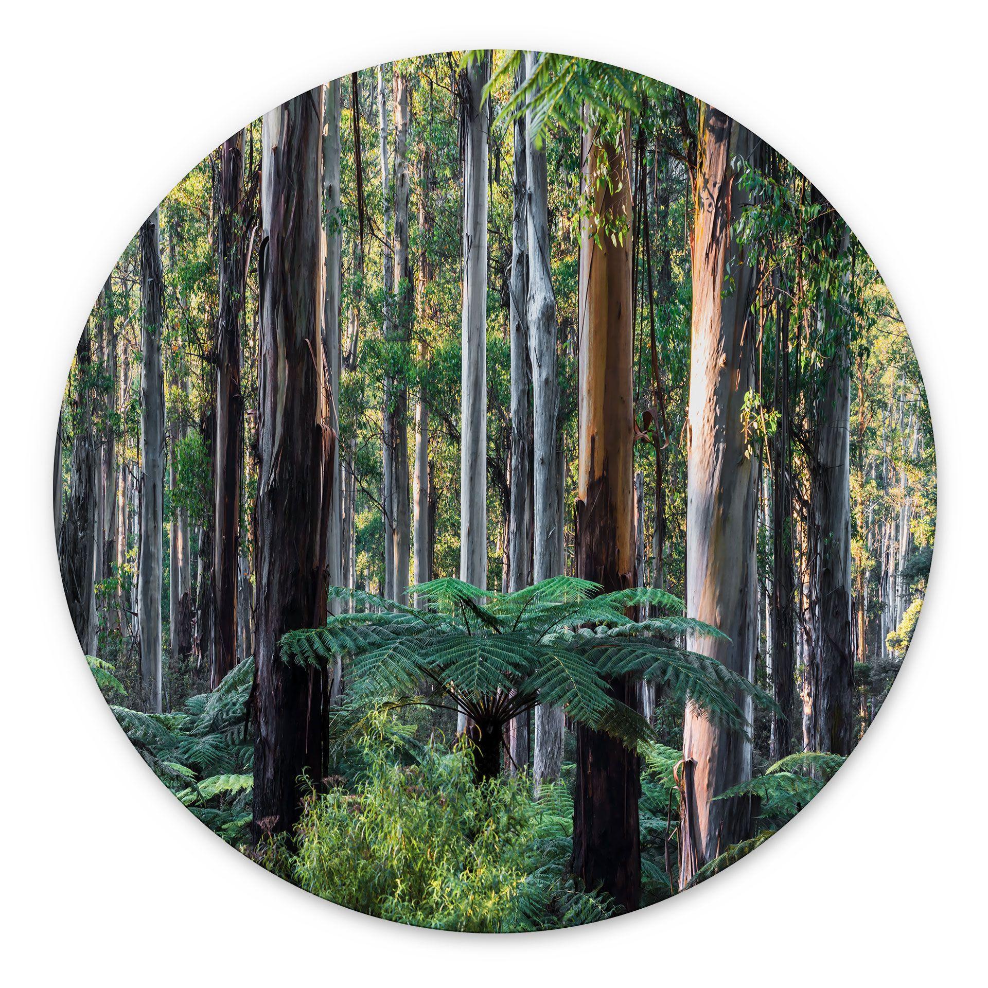 Billede af eukalyptusskov i Yarra Ranges - Colombo - rund – print på aluminium (Alu-Dibond)