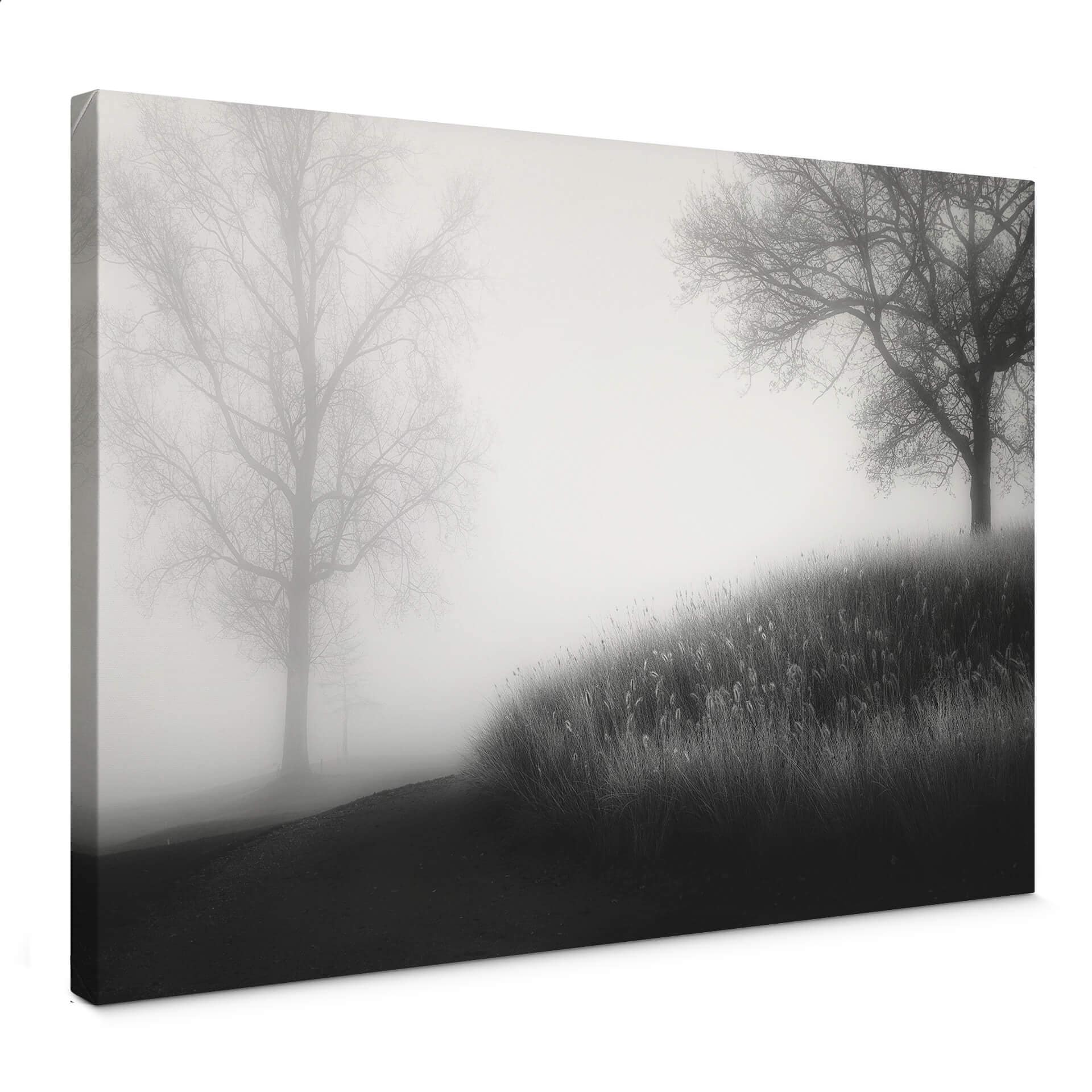 Lienzo Huybrighs - Niebla por la mañana