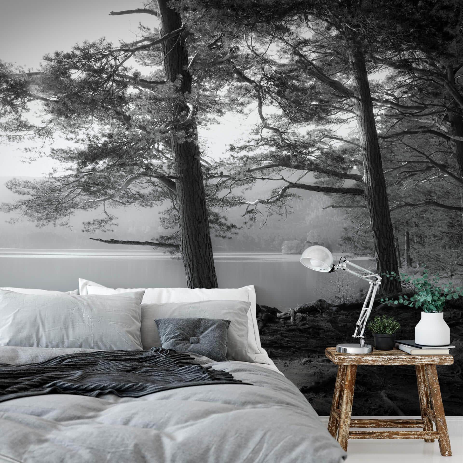 Papier peint photo Fuhg - Vue sur le lac - 384x260 cm