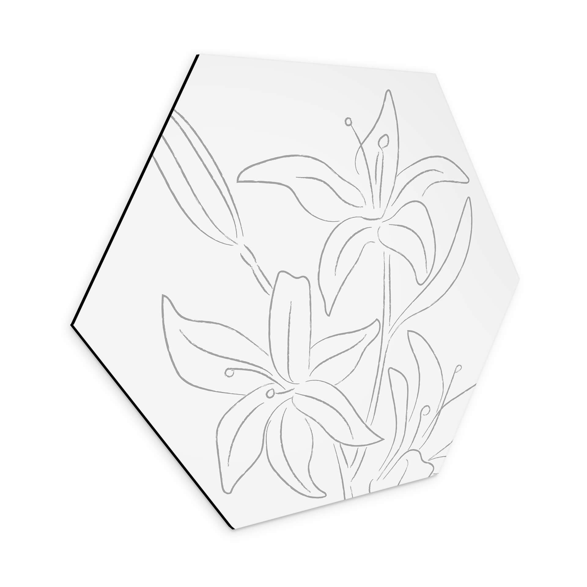 Hexagone - alu-Dibond 1X Studio - Dessin au trait Floral