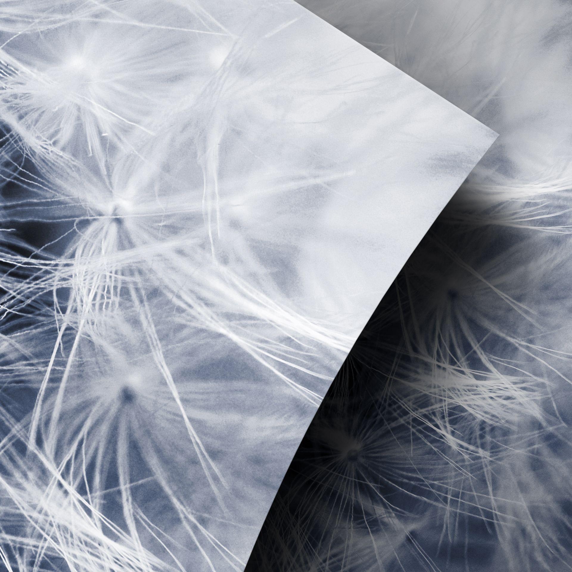 Vinilo adhesivo muebles, vinilo decorativo - lavable - Dandelion 02
