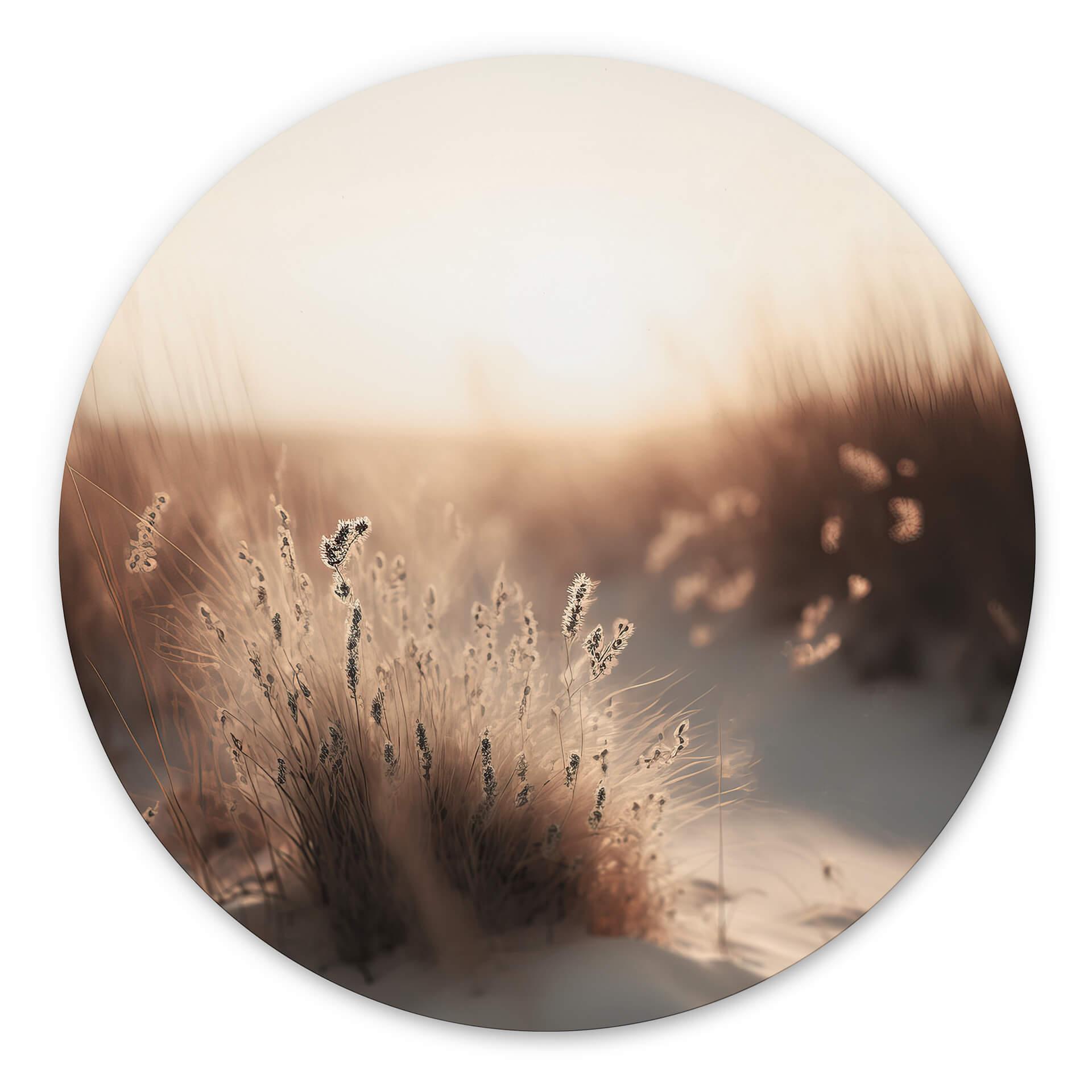 Vægcirkel Treechild - solnedgang over klitterne – print på aluminium (Alu-Dibond)
