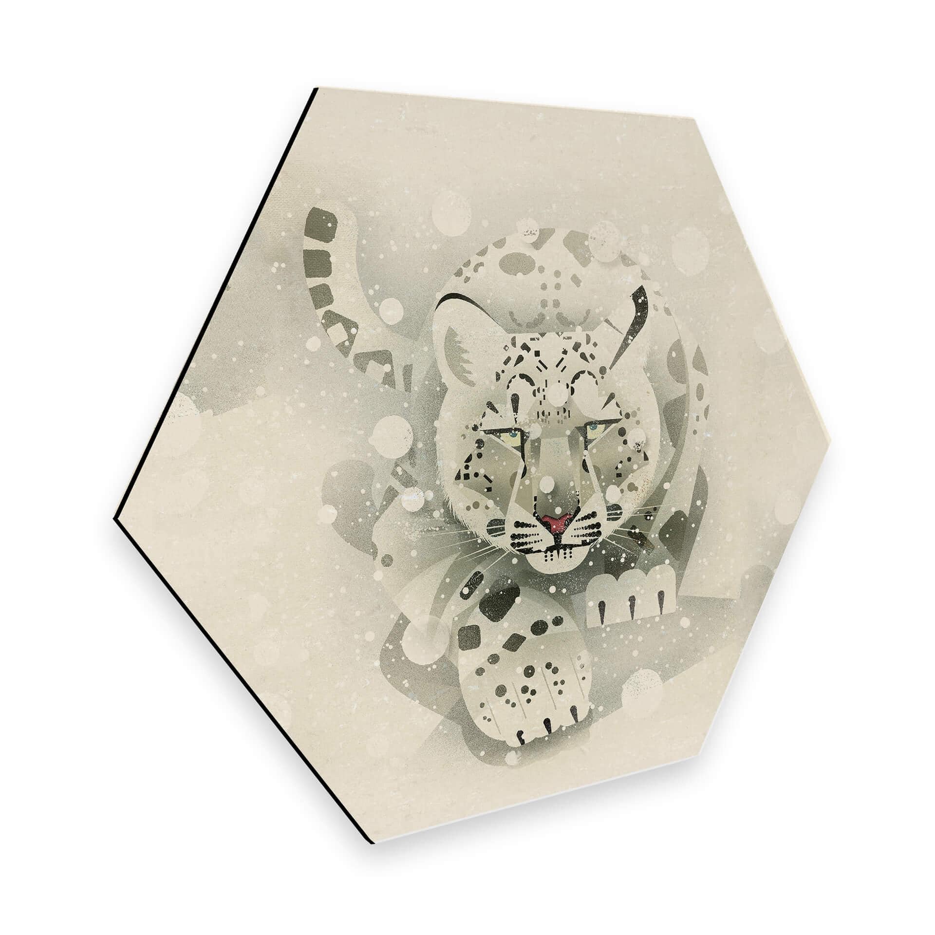 Hexagon Dibond Braun - Sneeuwluipaard