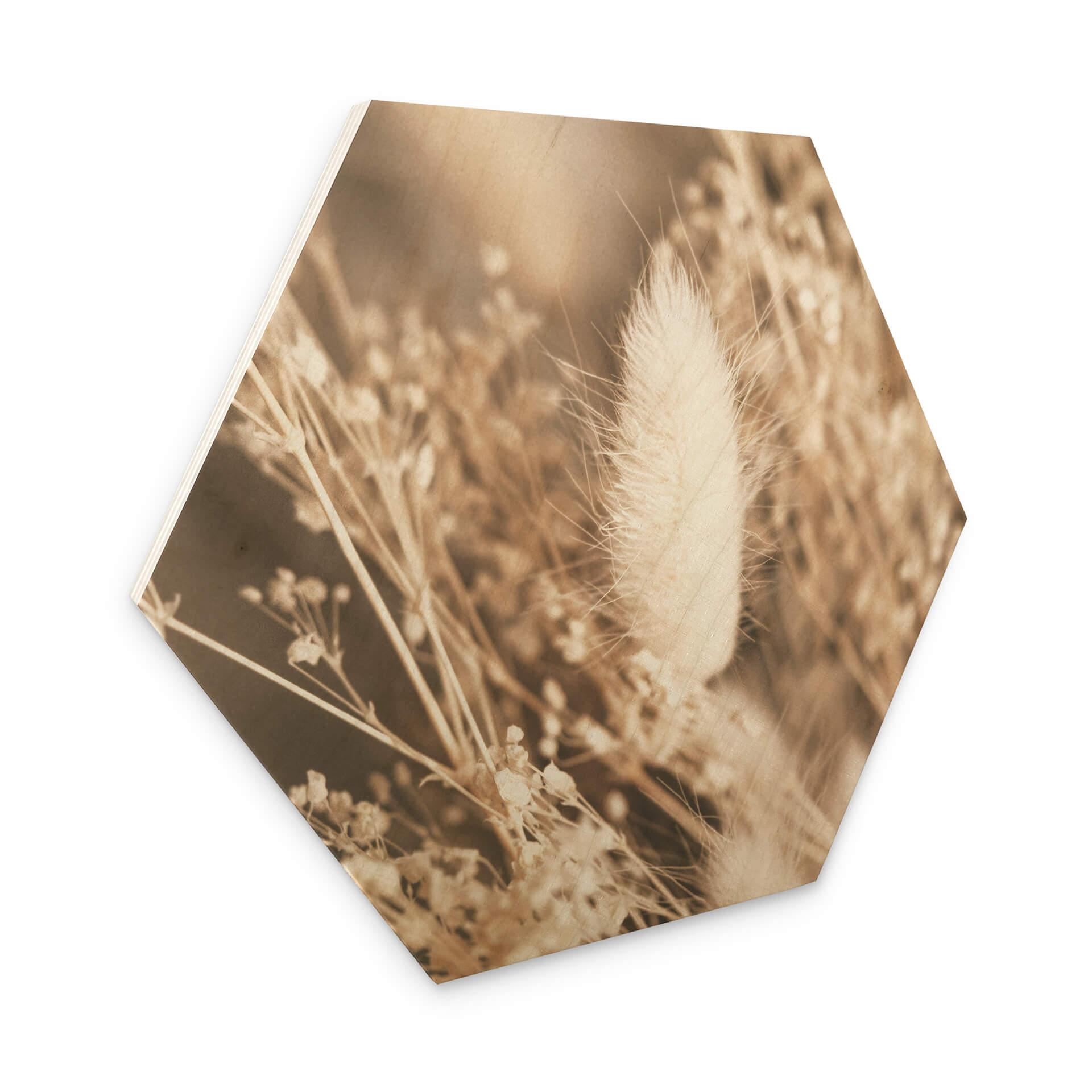 Hexagone - Bois Annie - Faisceau d'herbes