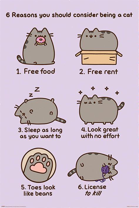 Poster, film poster Pusheen - Reasons to be a Cat 61x91,5 cm