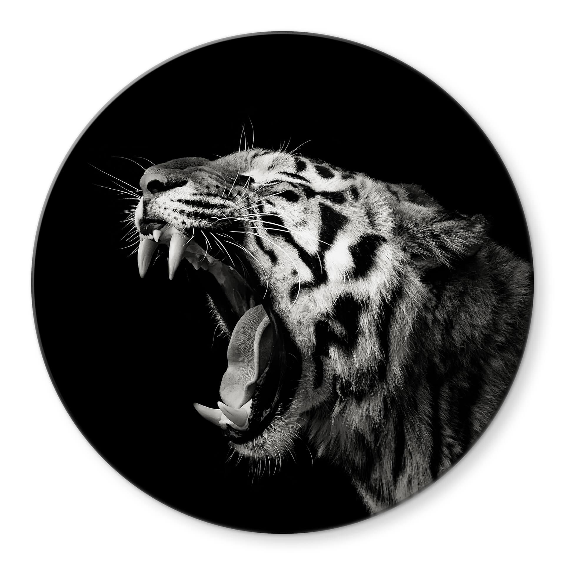 Tableau en verre Meermann - Le tigre - Rond