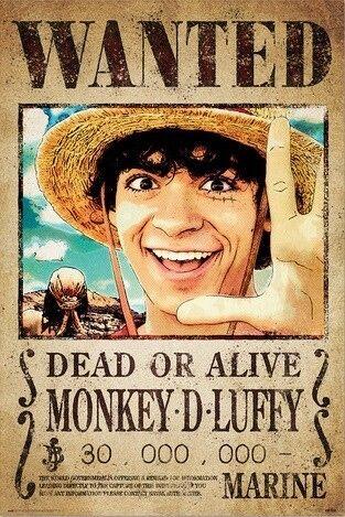 Poster, film poster One Piece - Wanted Monkey D. Luffy 61x91,5 cm