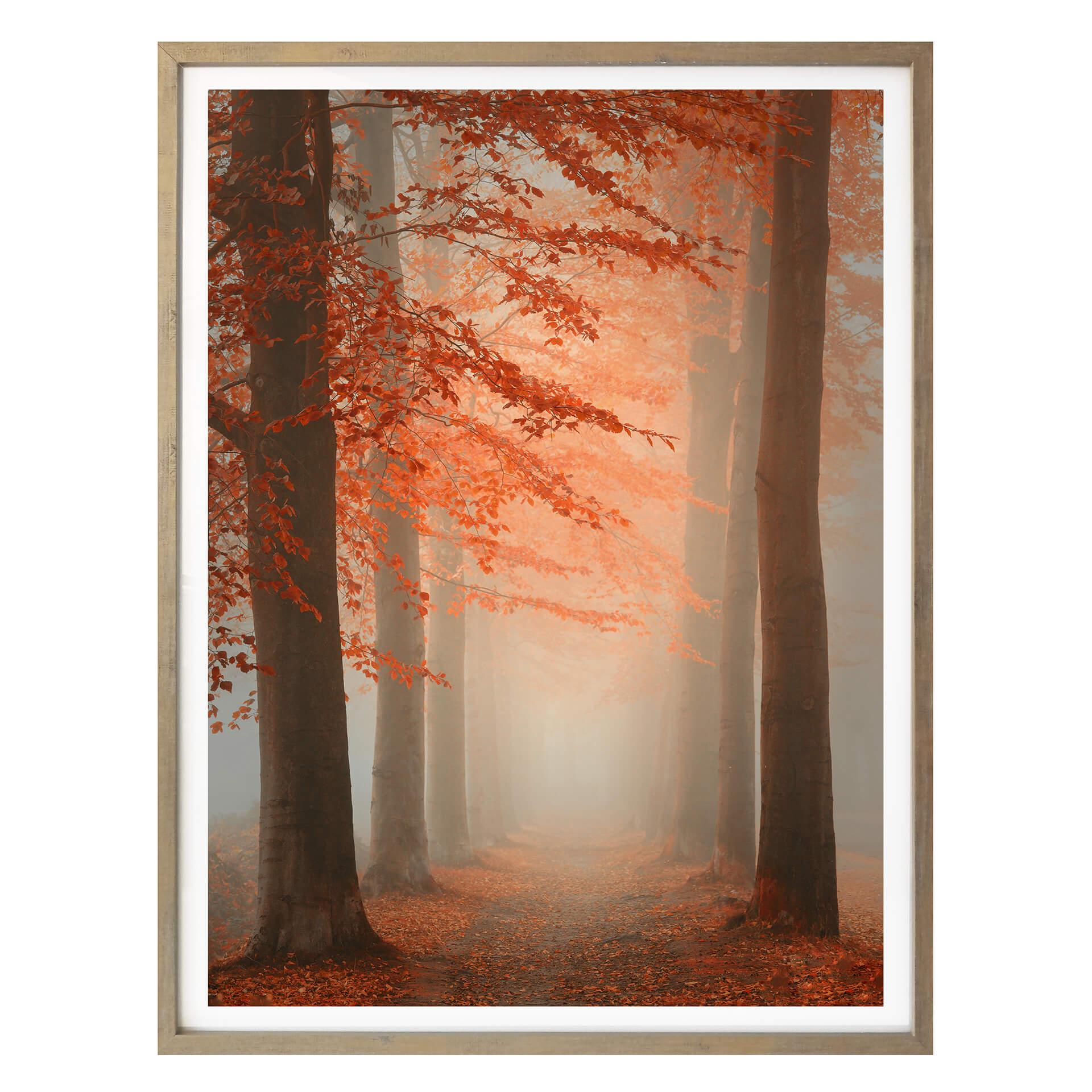 Póster Dingemans - Sueños de otoño