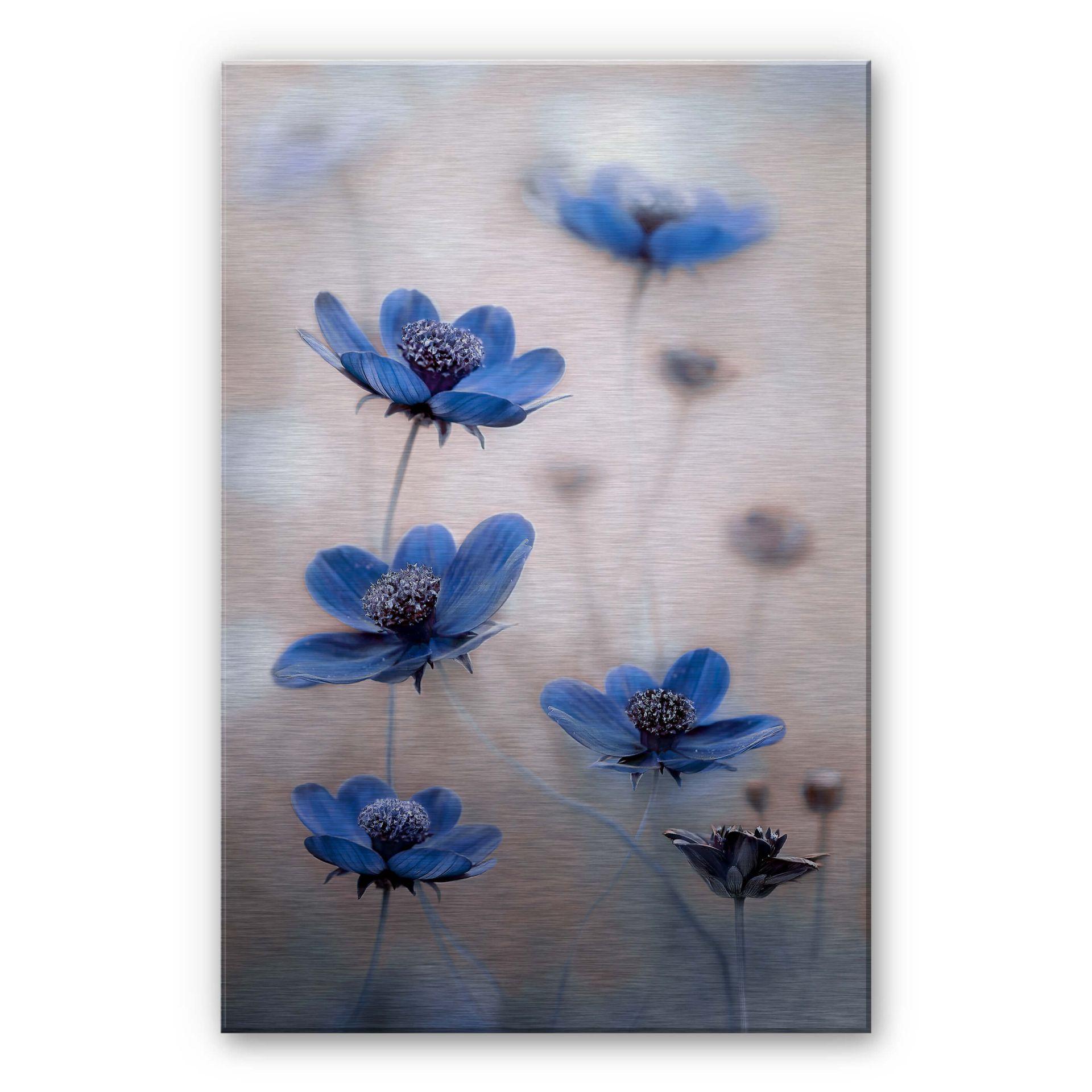 Alu-Dibond Disher - Blue Cosmos
