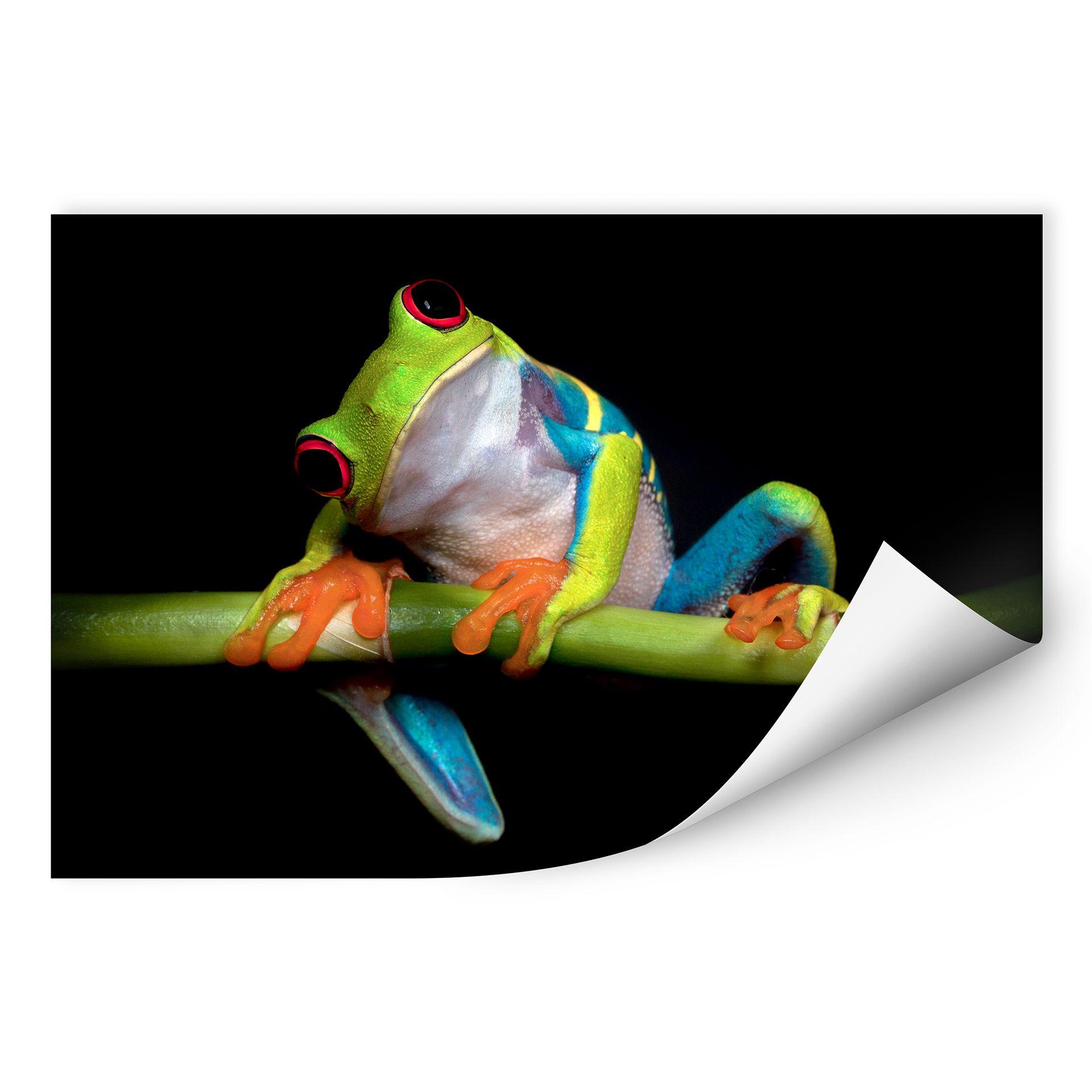 Zelfklevende Poster Valverde - Green Frog