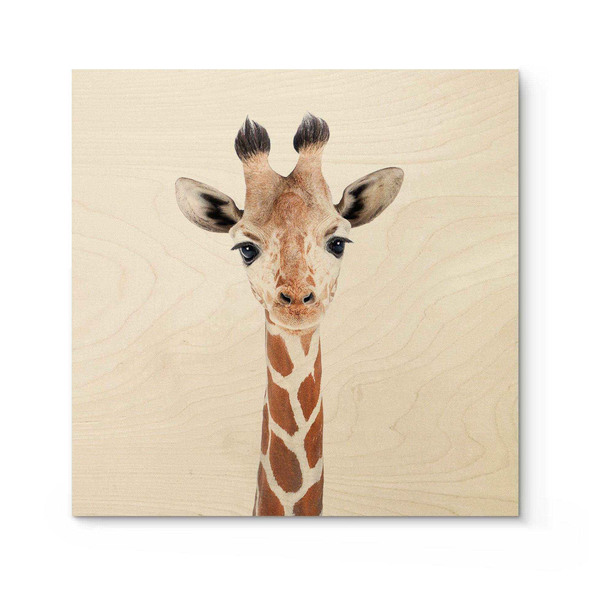 Houten Poster Sisi & Seb - Baby Giraf
